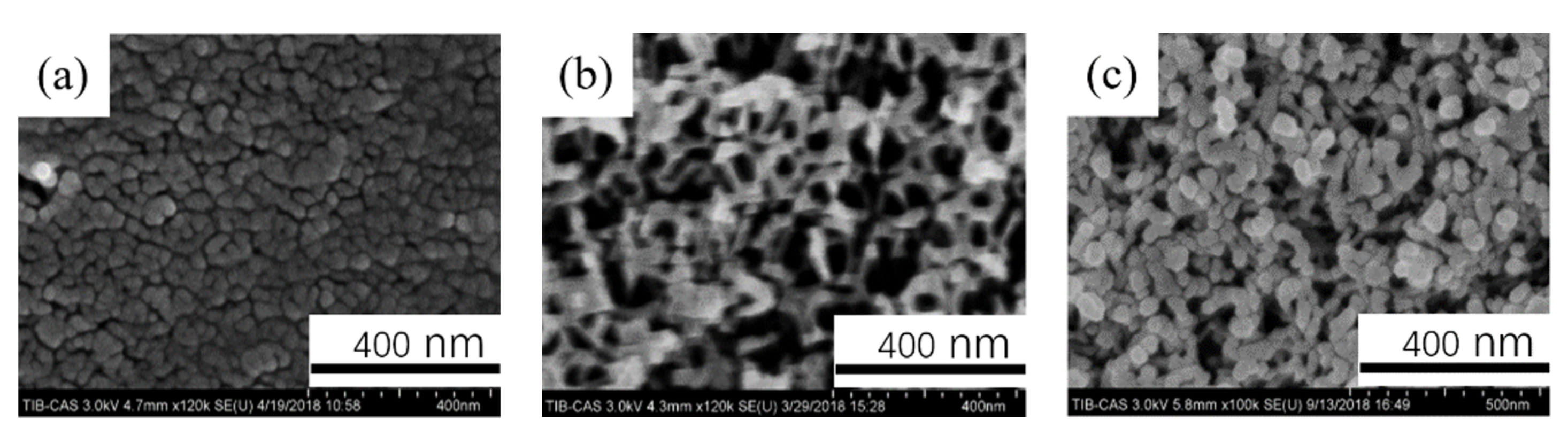 Coatings 11 01498 g006