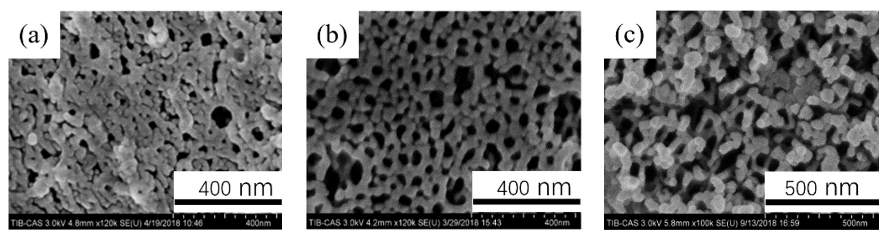Coatings 11 01498 g007