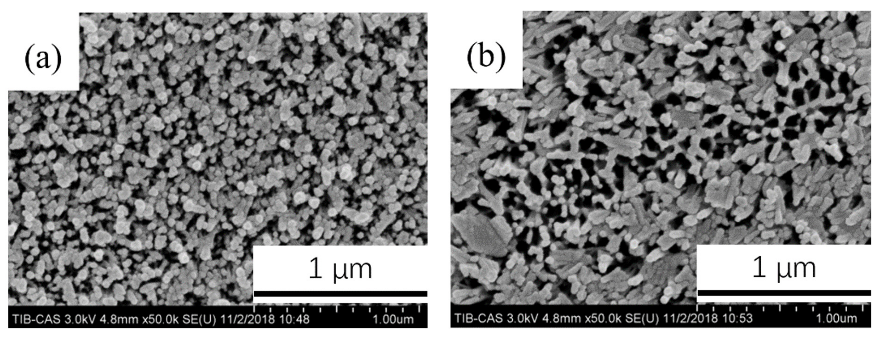 Coatings 11 01498 g008