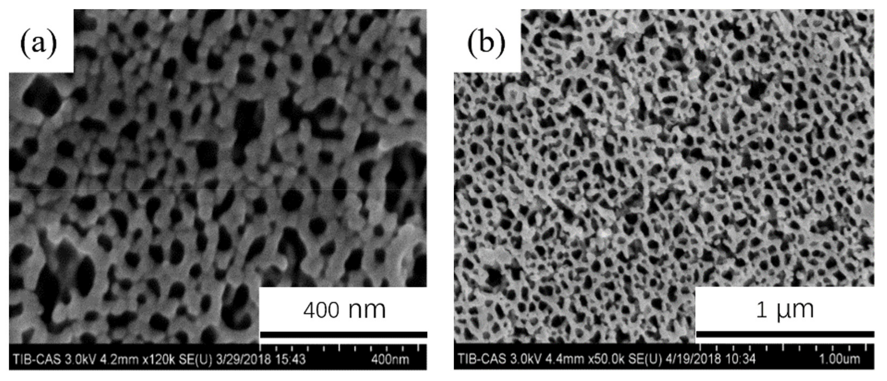 Coatings 11 01498 g010