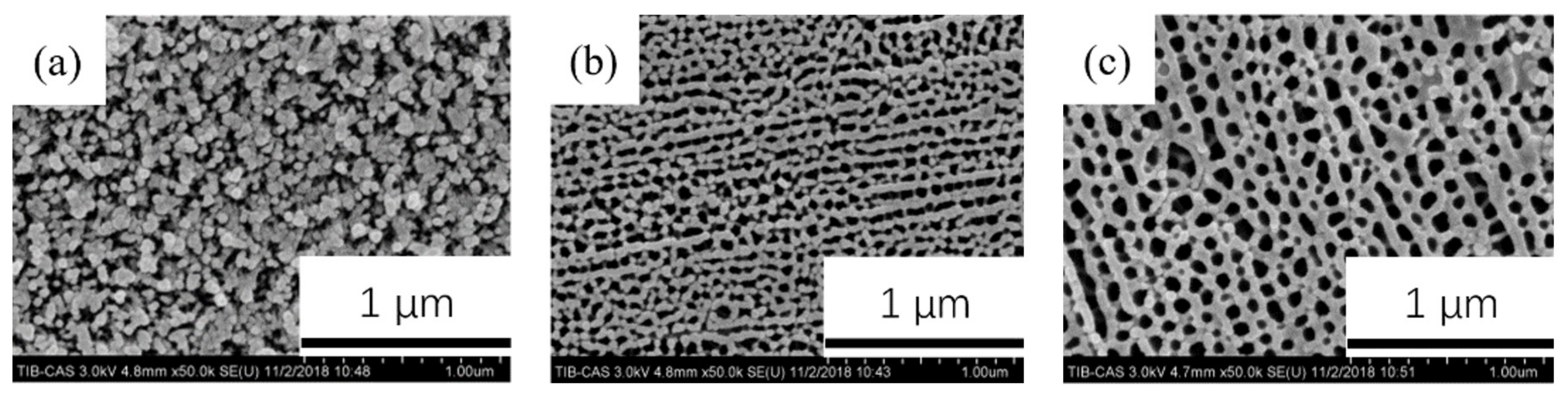 Coatings 11 01498 g011