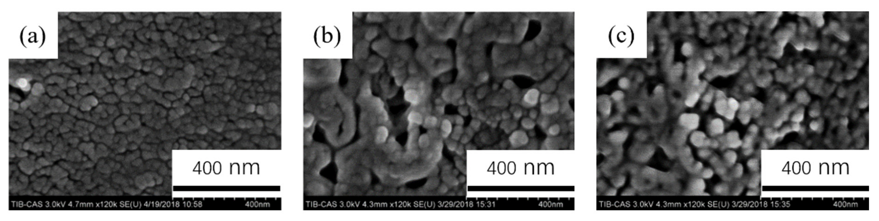 Coatings 11 01498 g012