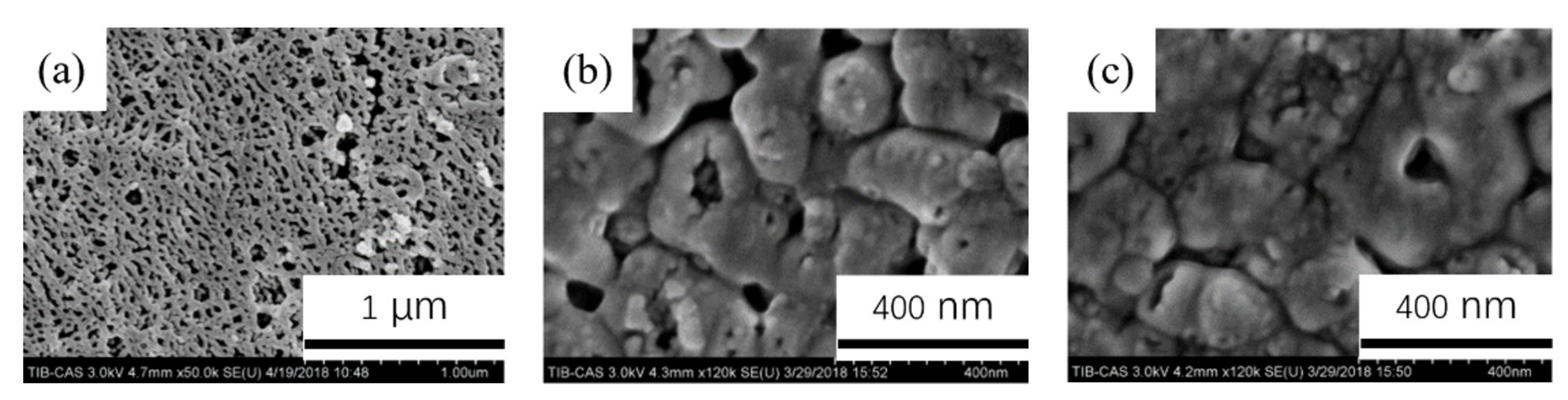 Coatings 11 01498 g013