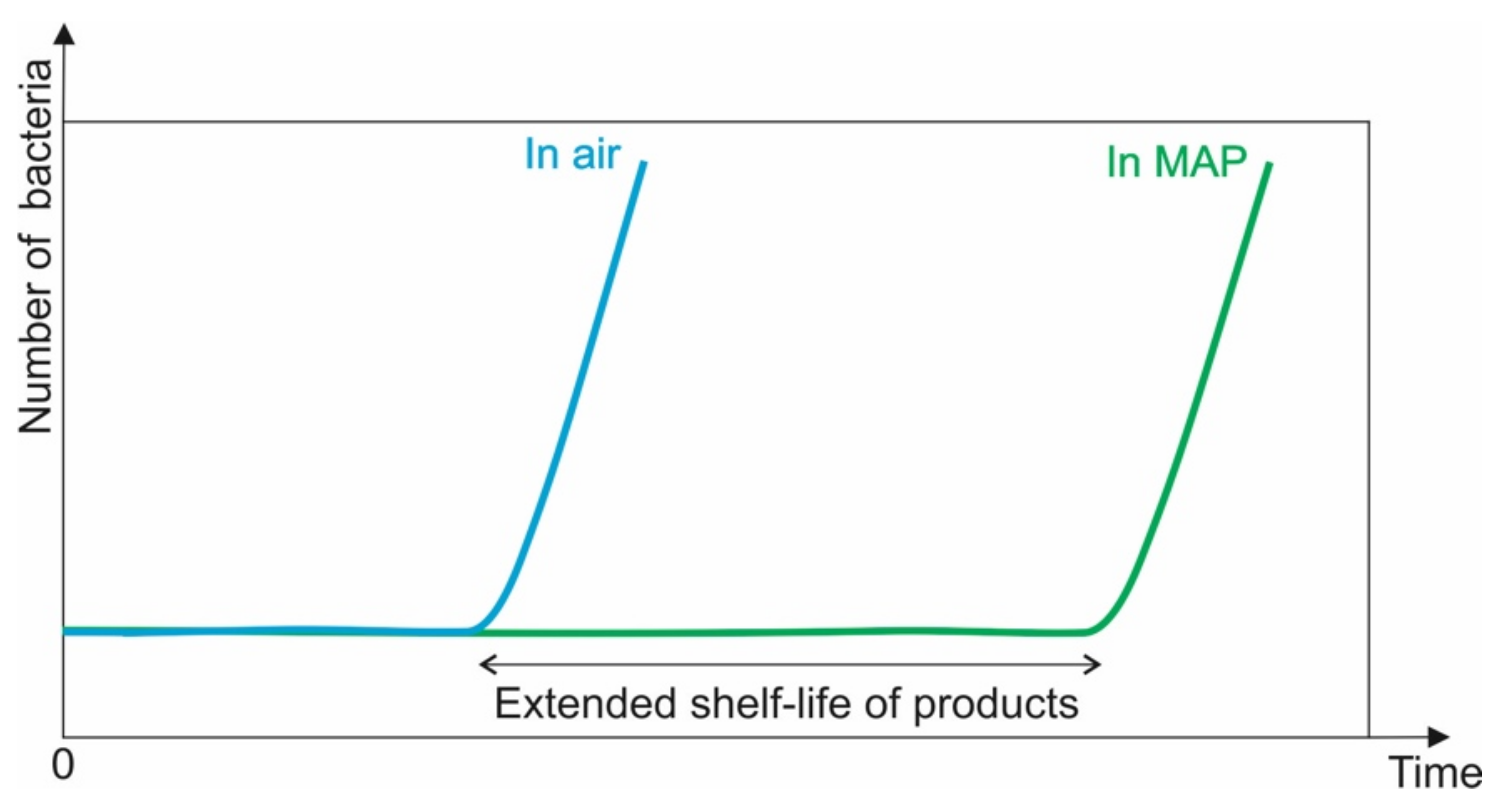 Coatings 11 01504 g001