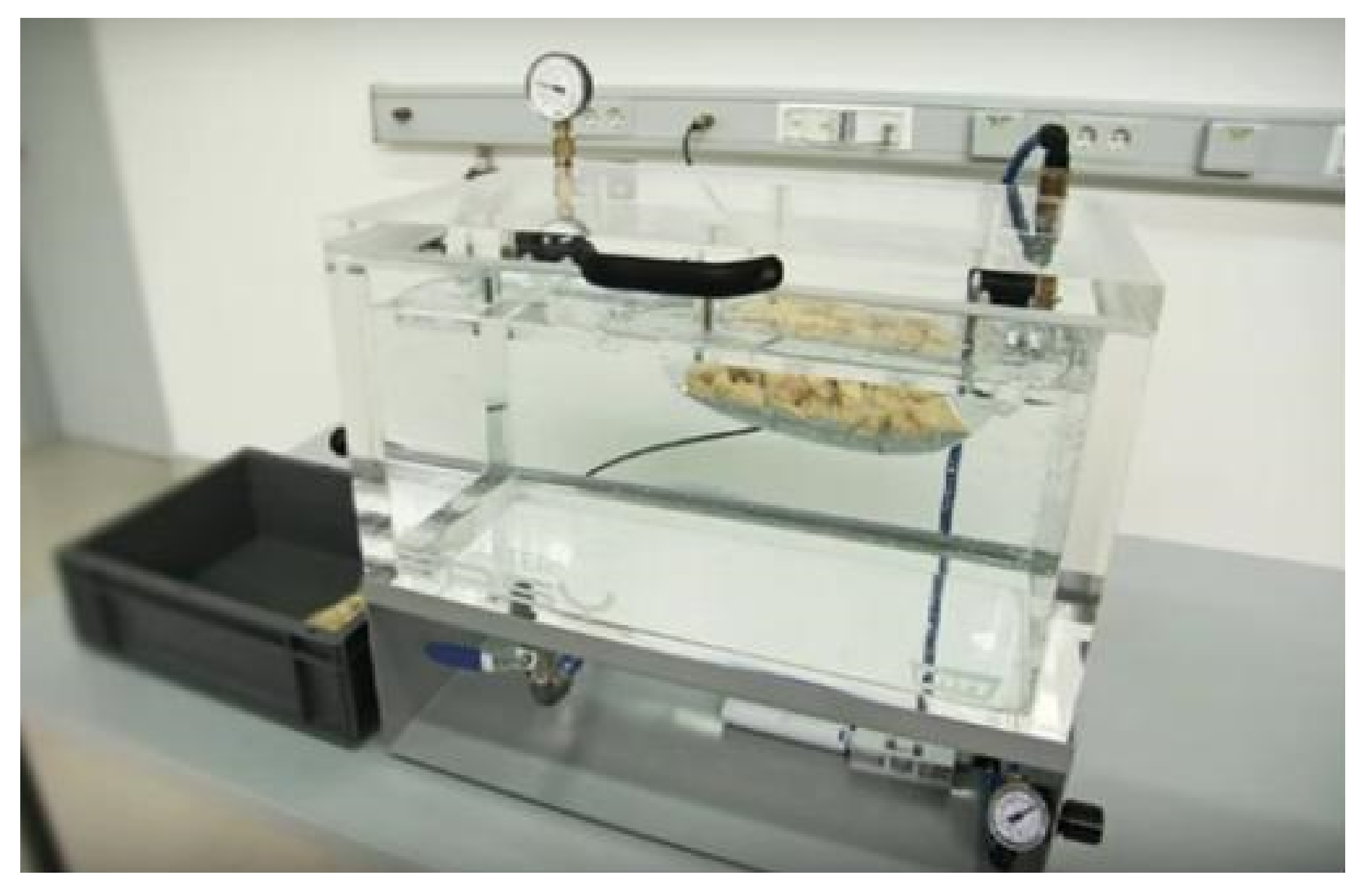 Coatings 11 01504 g010