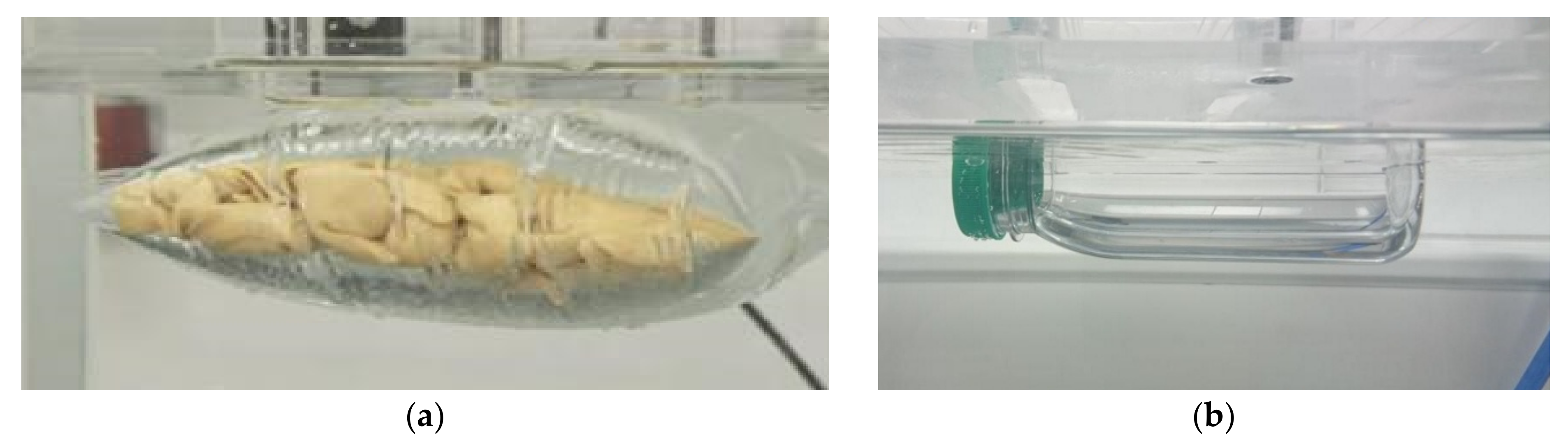 Coatings 11 01504 g011