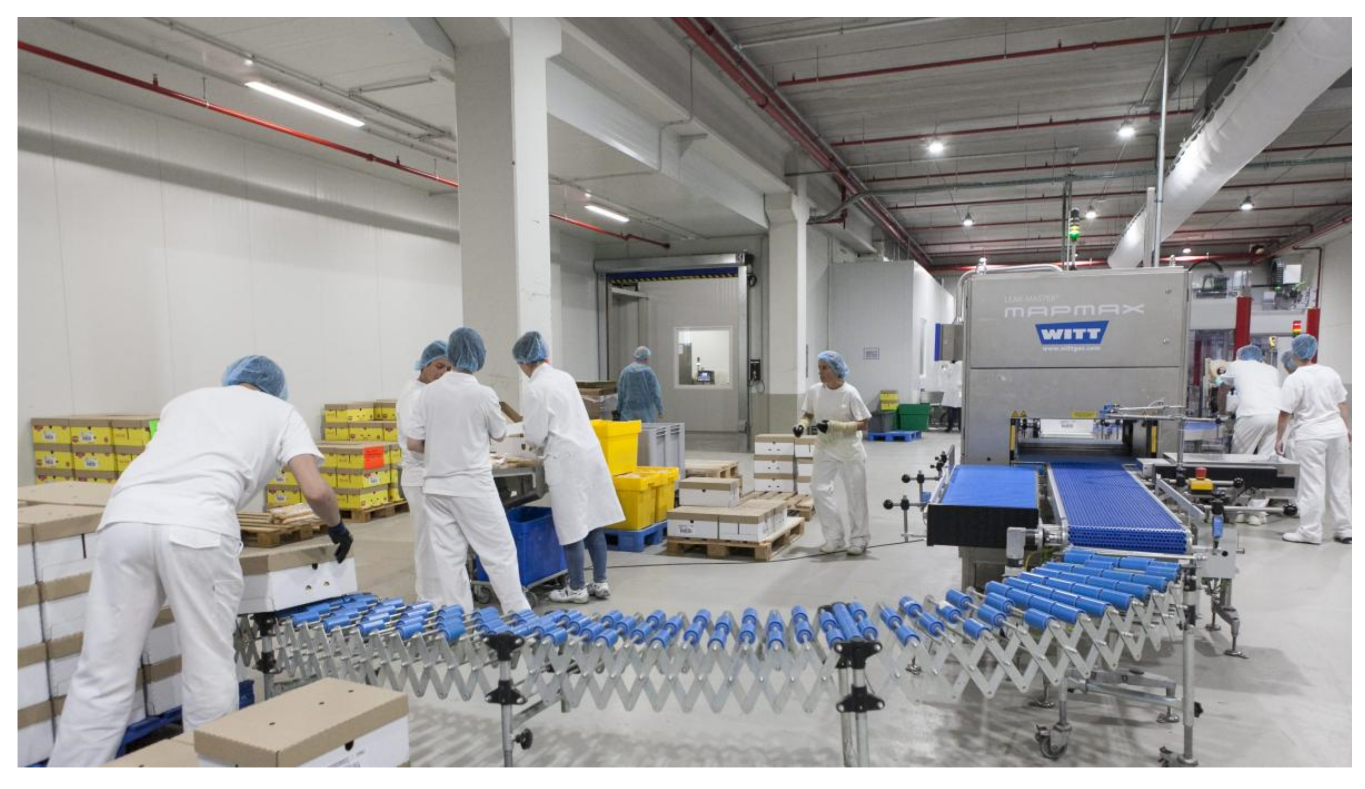 Coatings 11 01504 g013