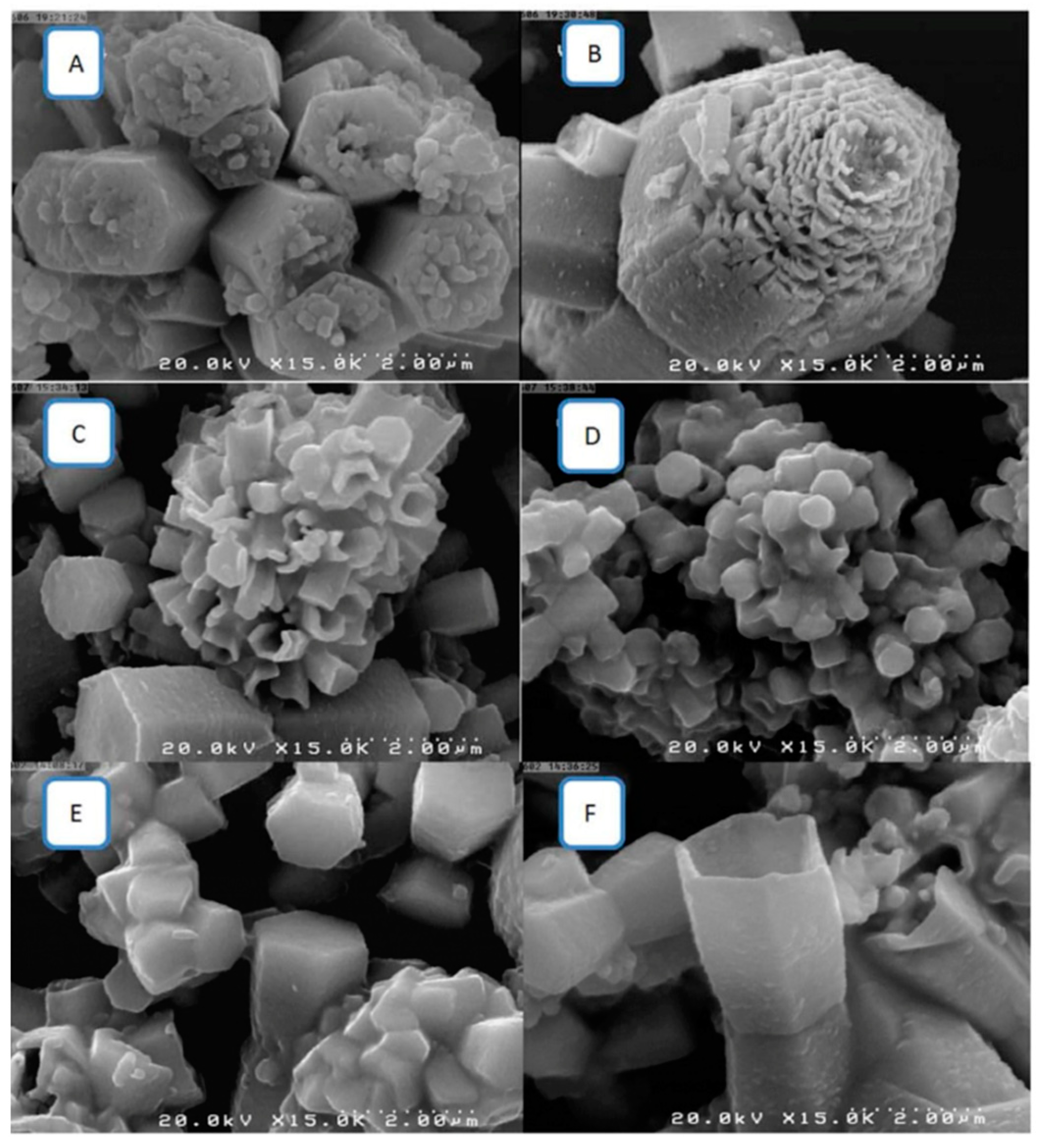 Coatings 11 01508 g003