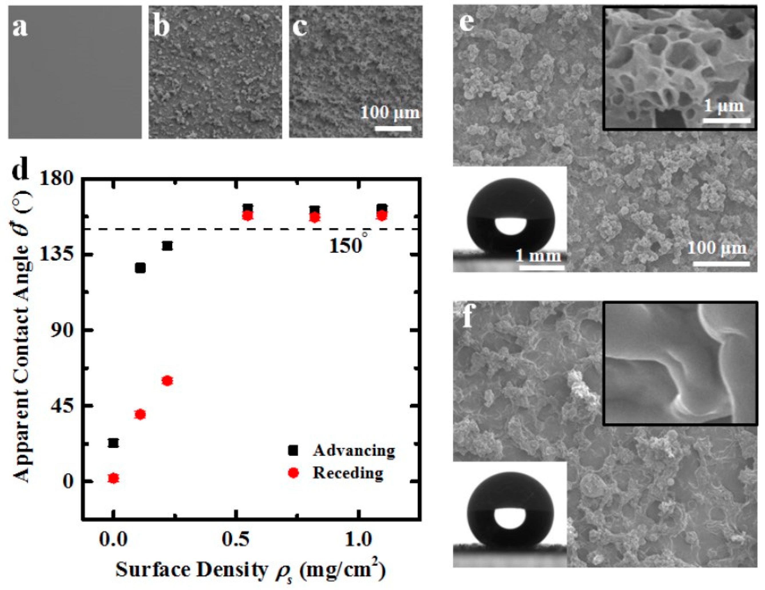 Coatings 11 01508 g005