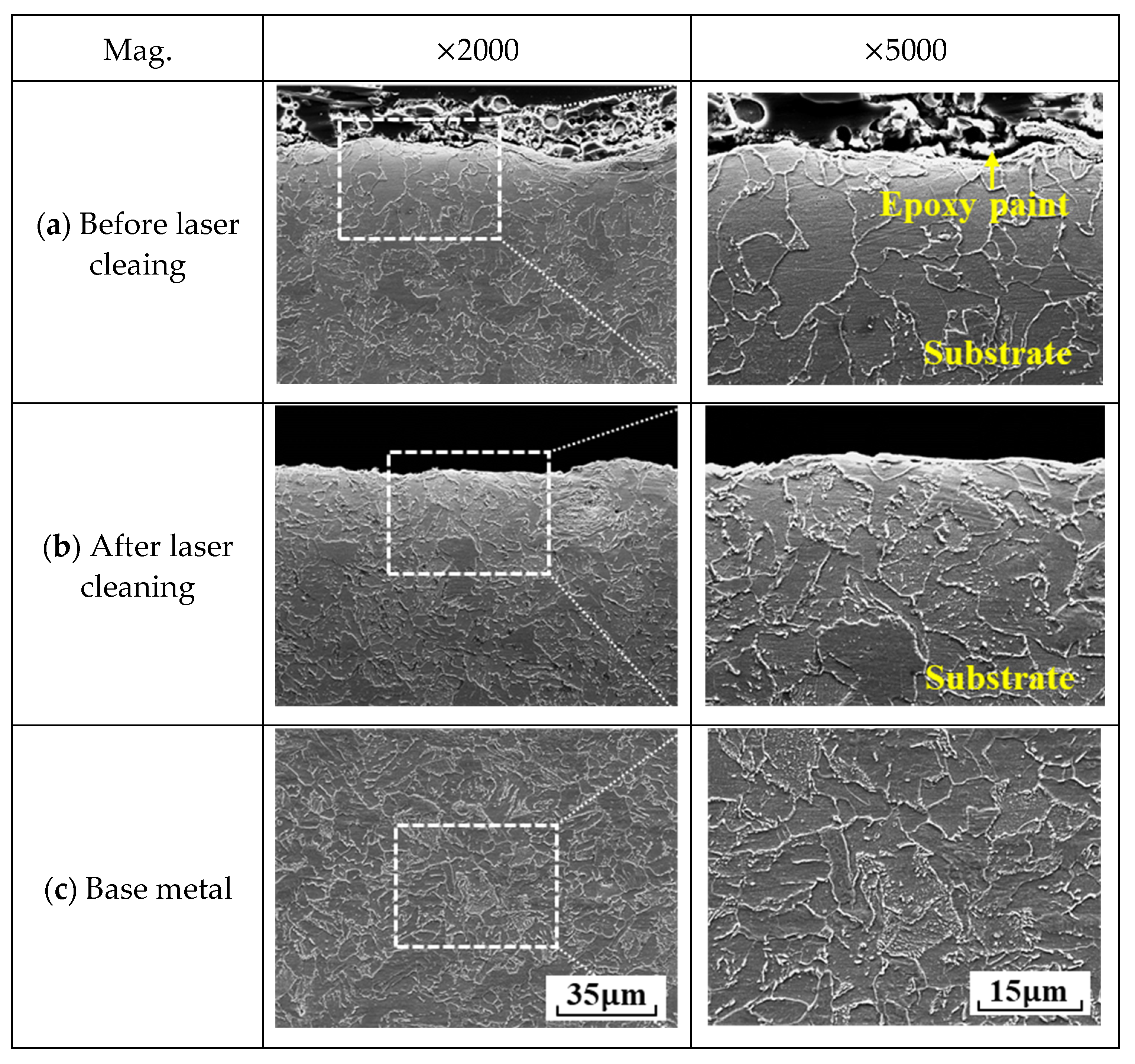 Coatings 11 01510 g011