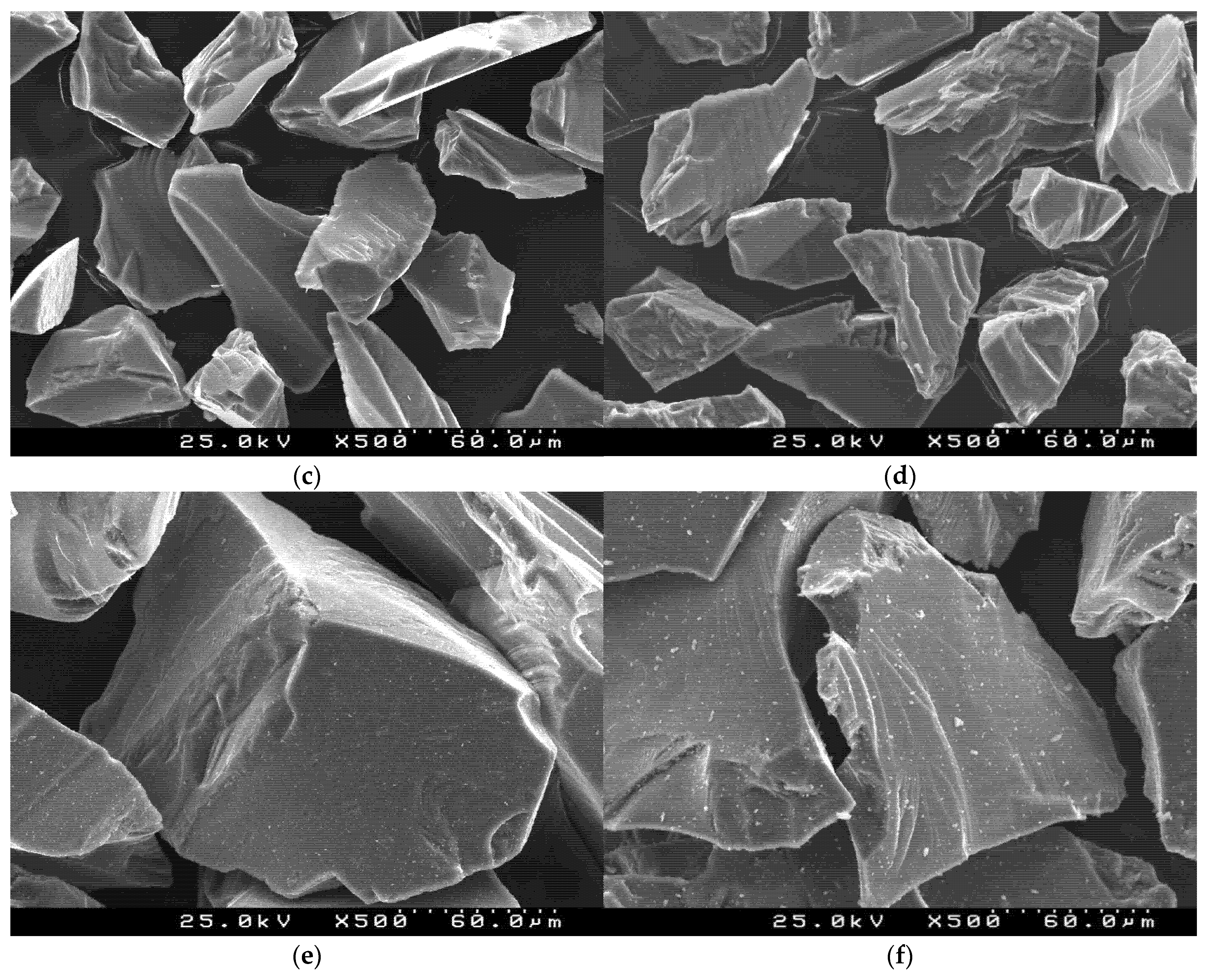 Coatings 11 01520 g002b