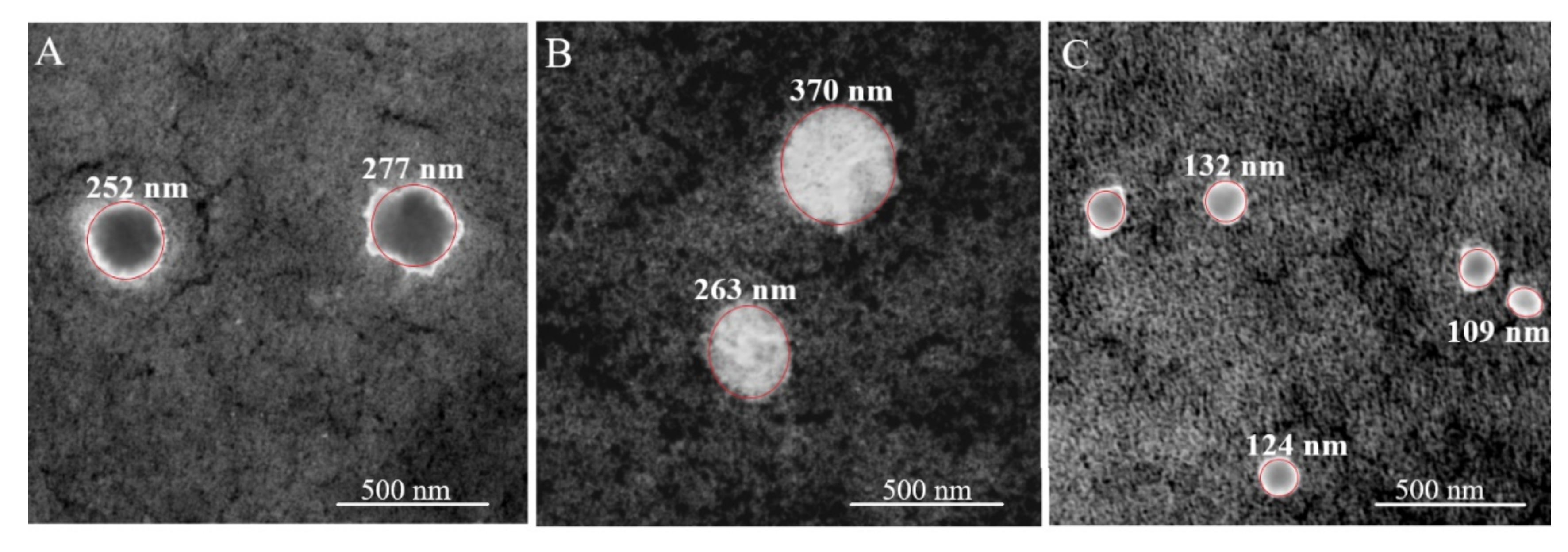 Coatings 11 01525 g005