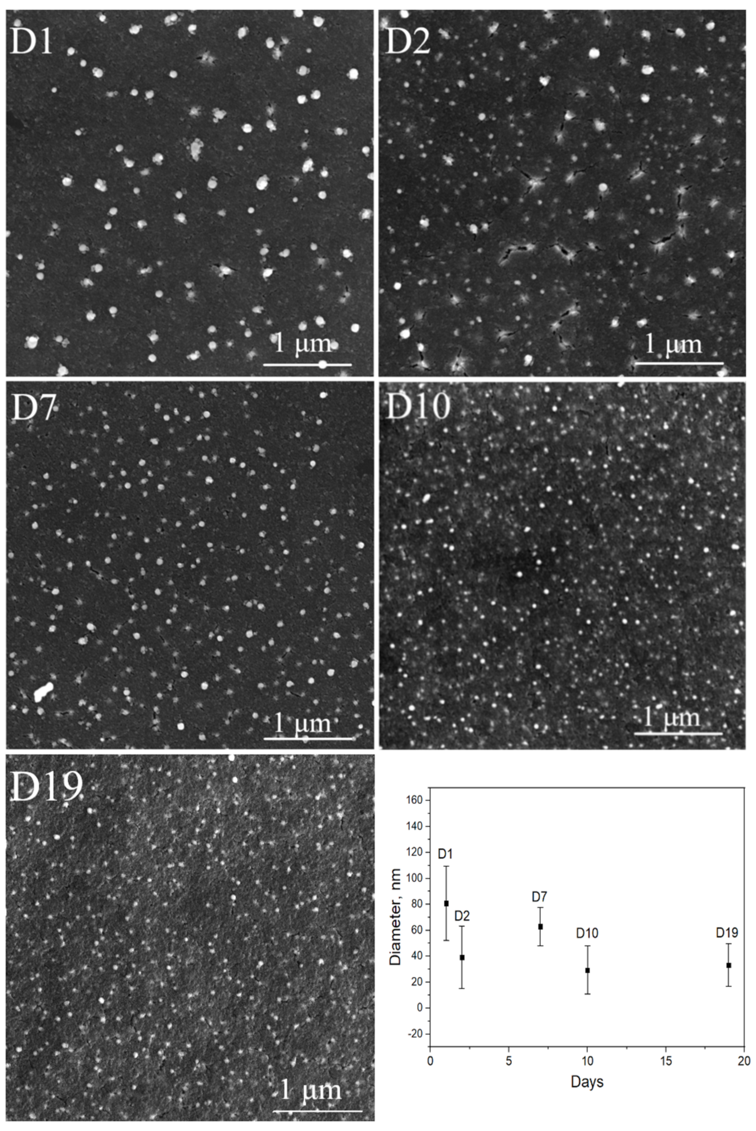Coatings 11 01525 g008