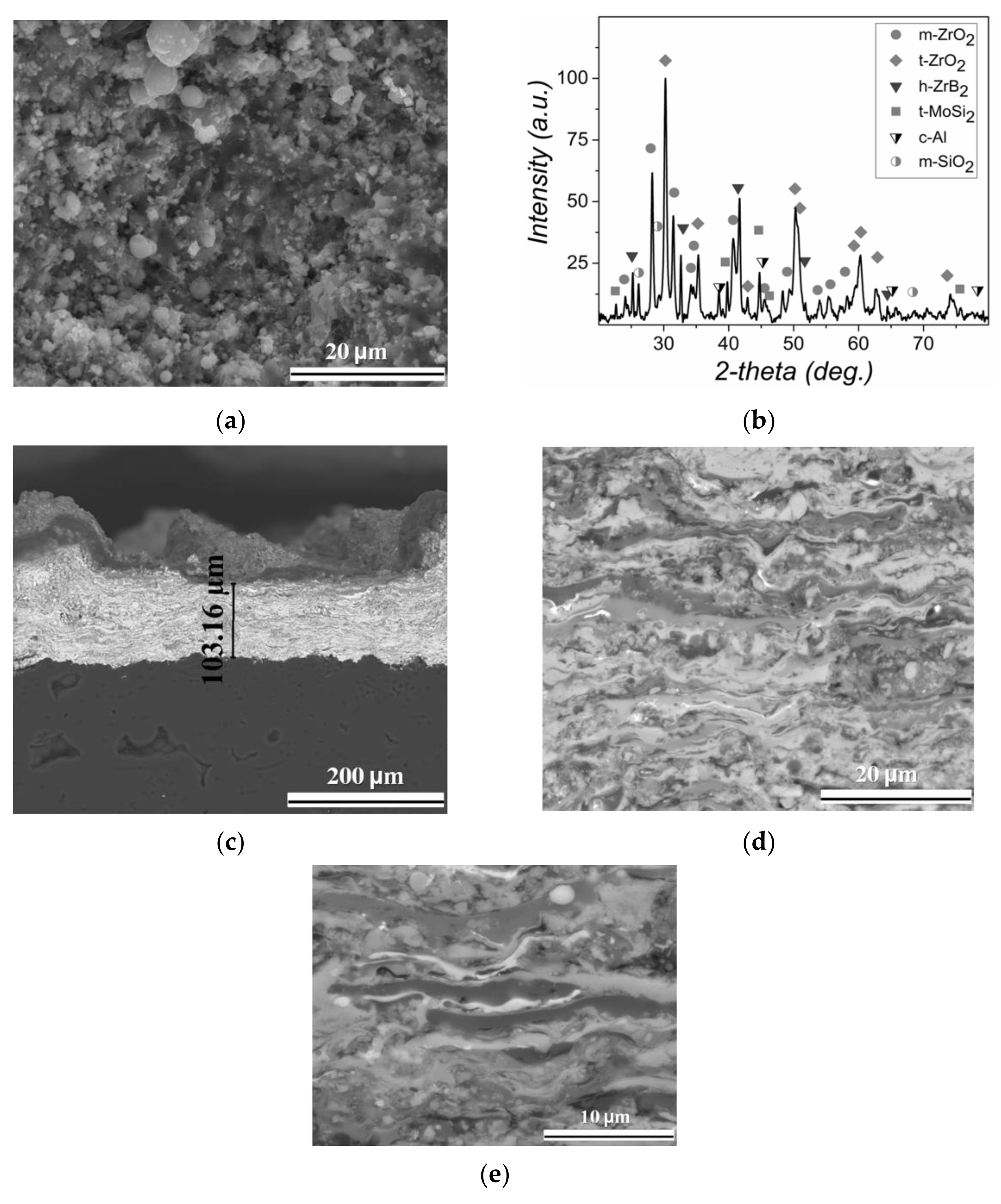 Coatings 11 01531 g004