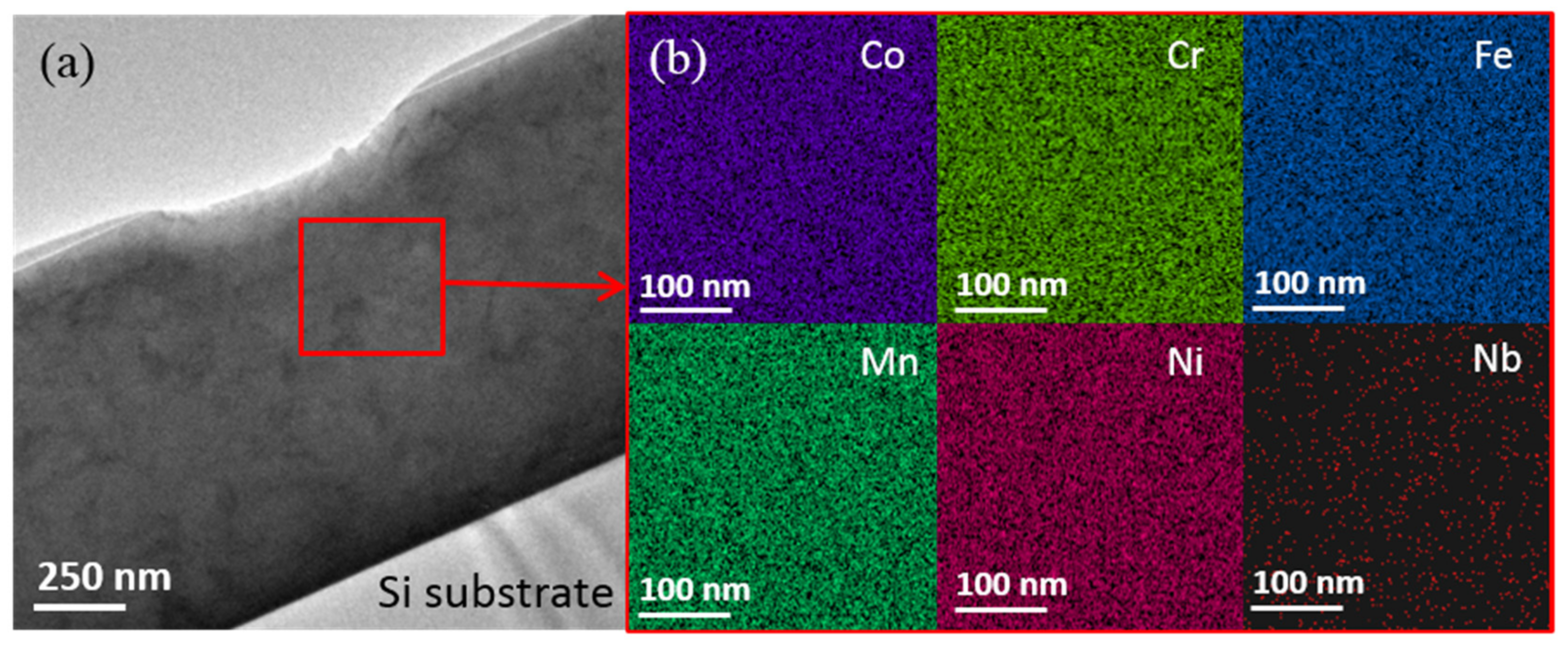 Coatings 11 01539 g005