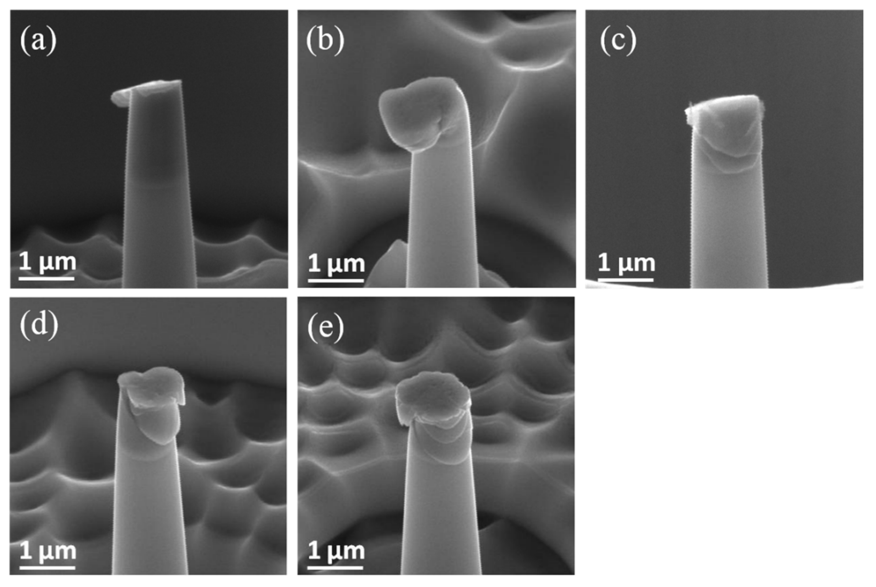 Coatings 11 01539 g007