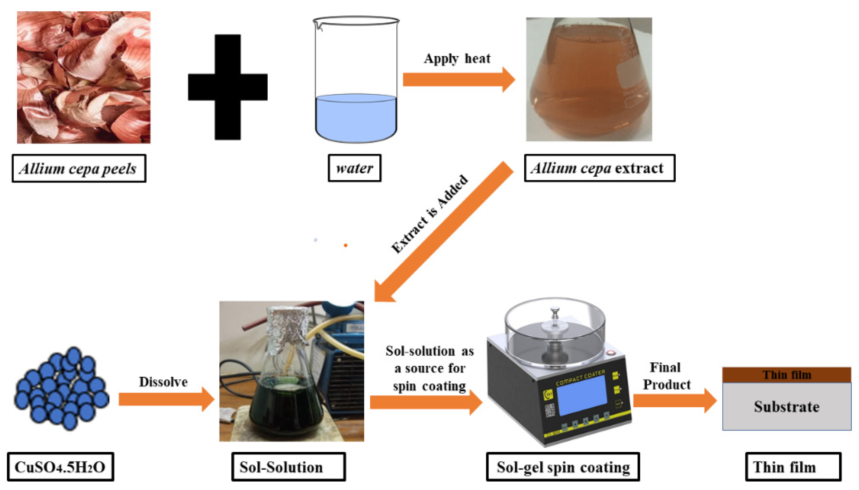Coatings 11 01545 g001
