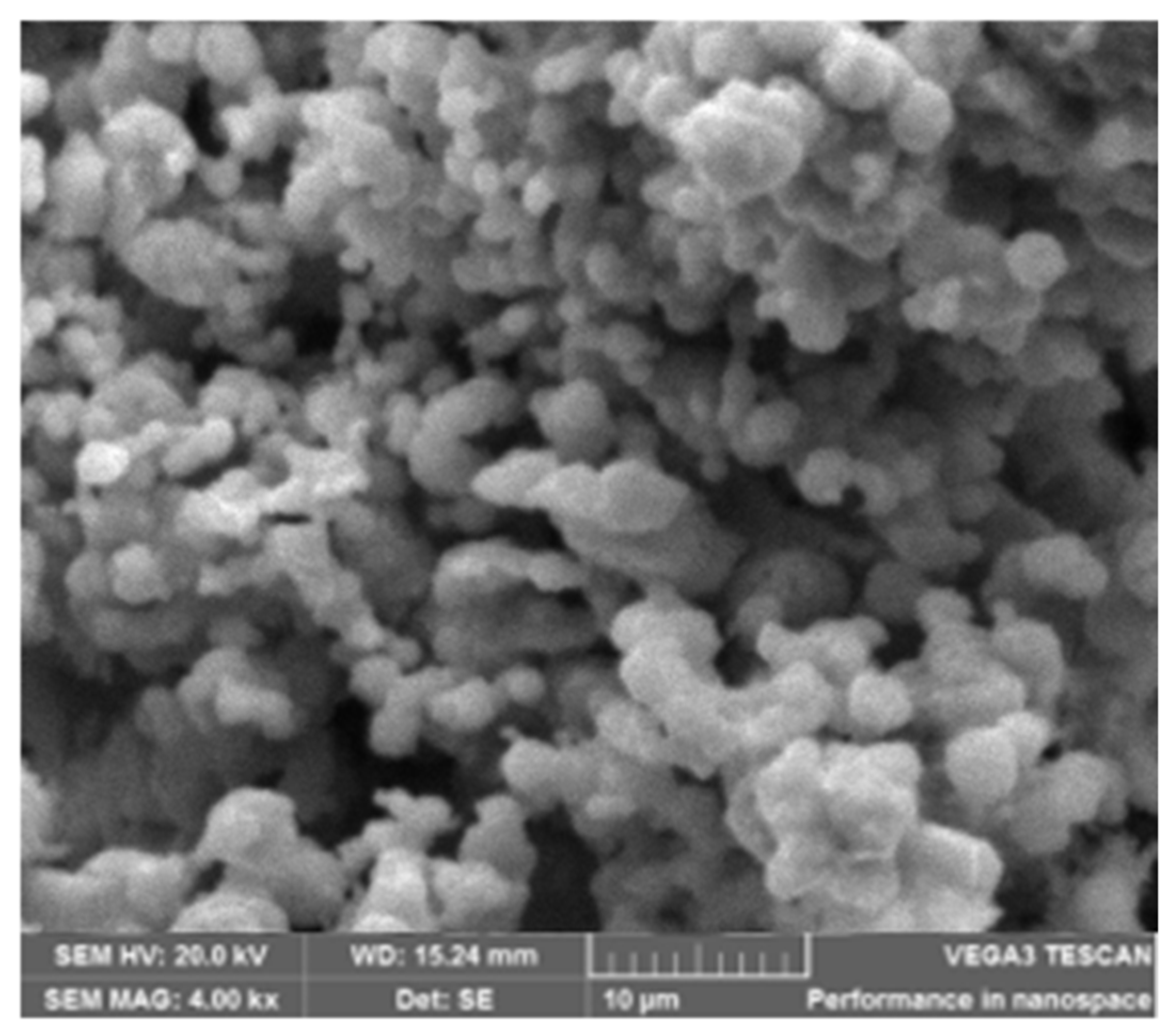 Coatings 11 01545 g002