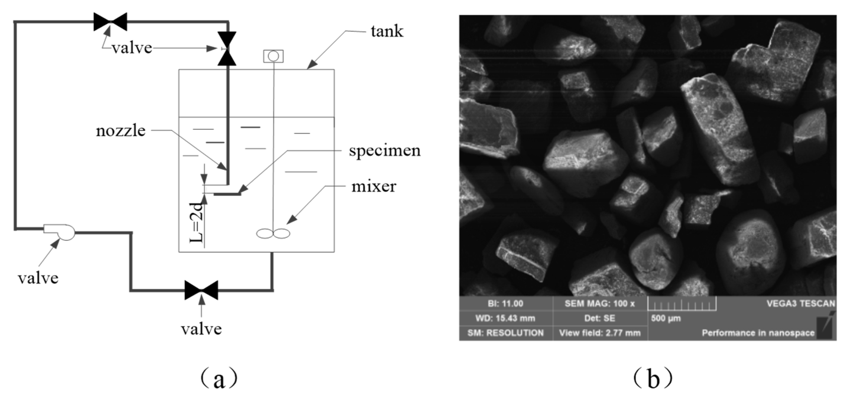 Coatings 11 01547 g002