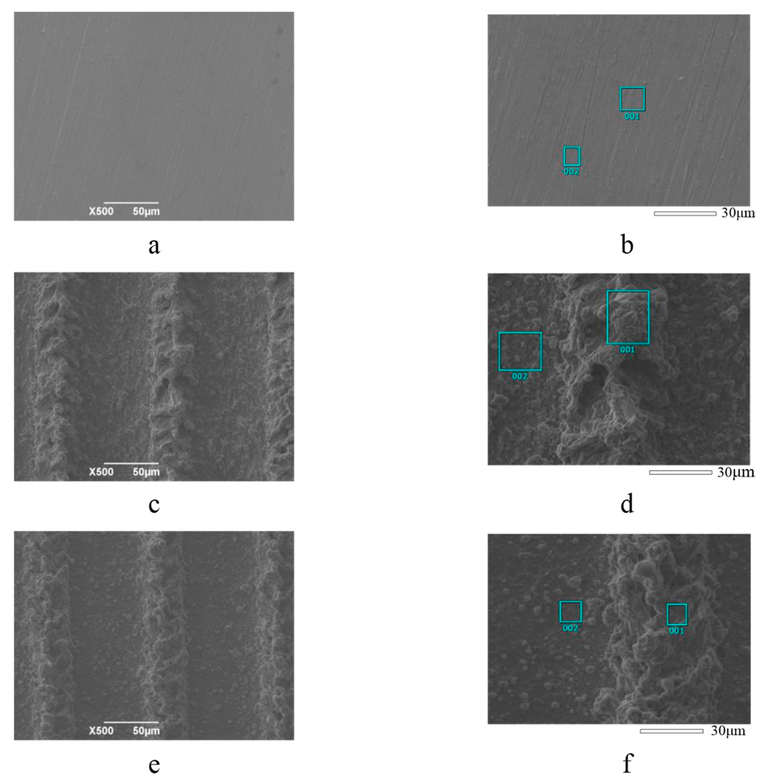 Coatings 11 01547 g003
