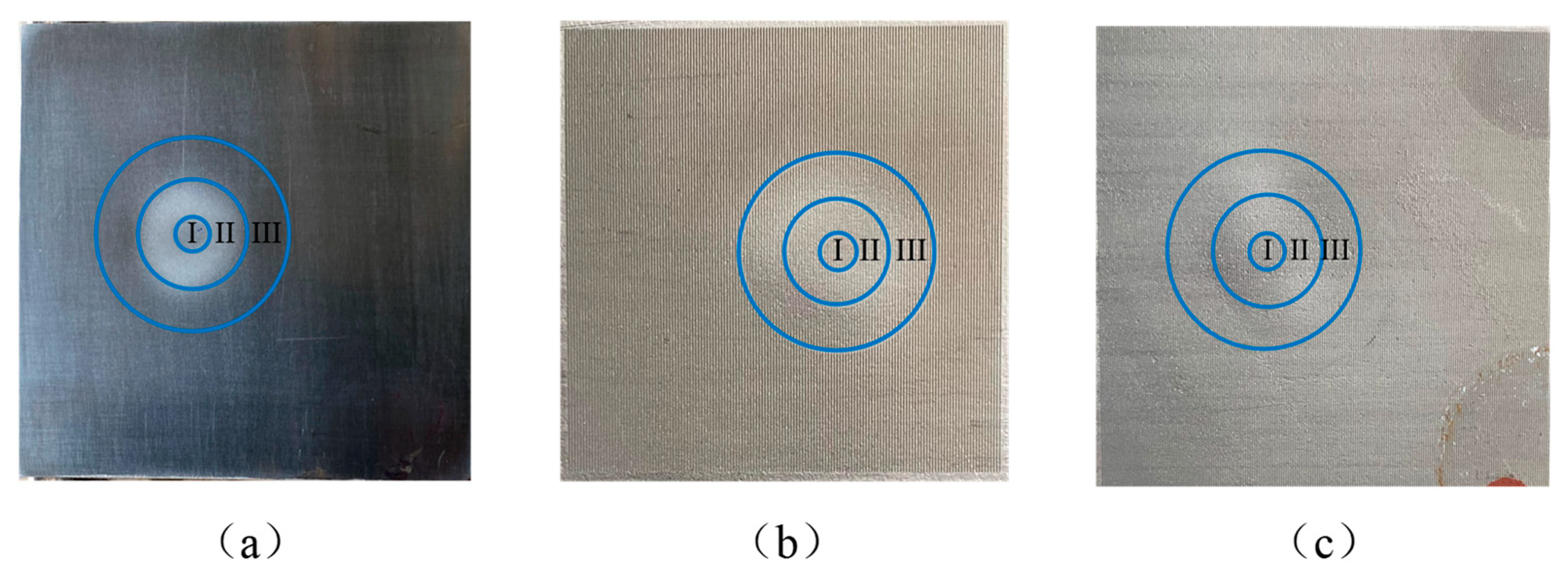 Coatings 11 01547 g008