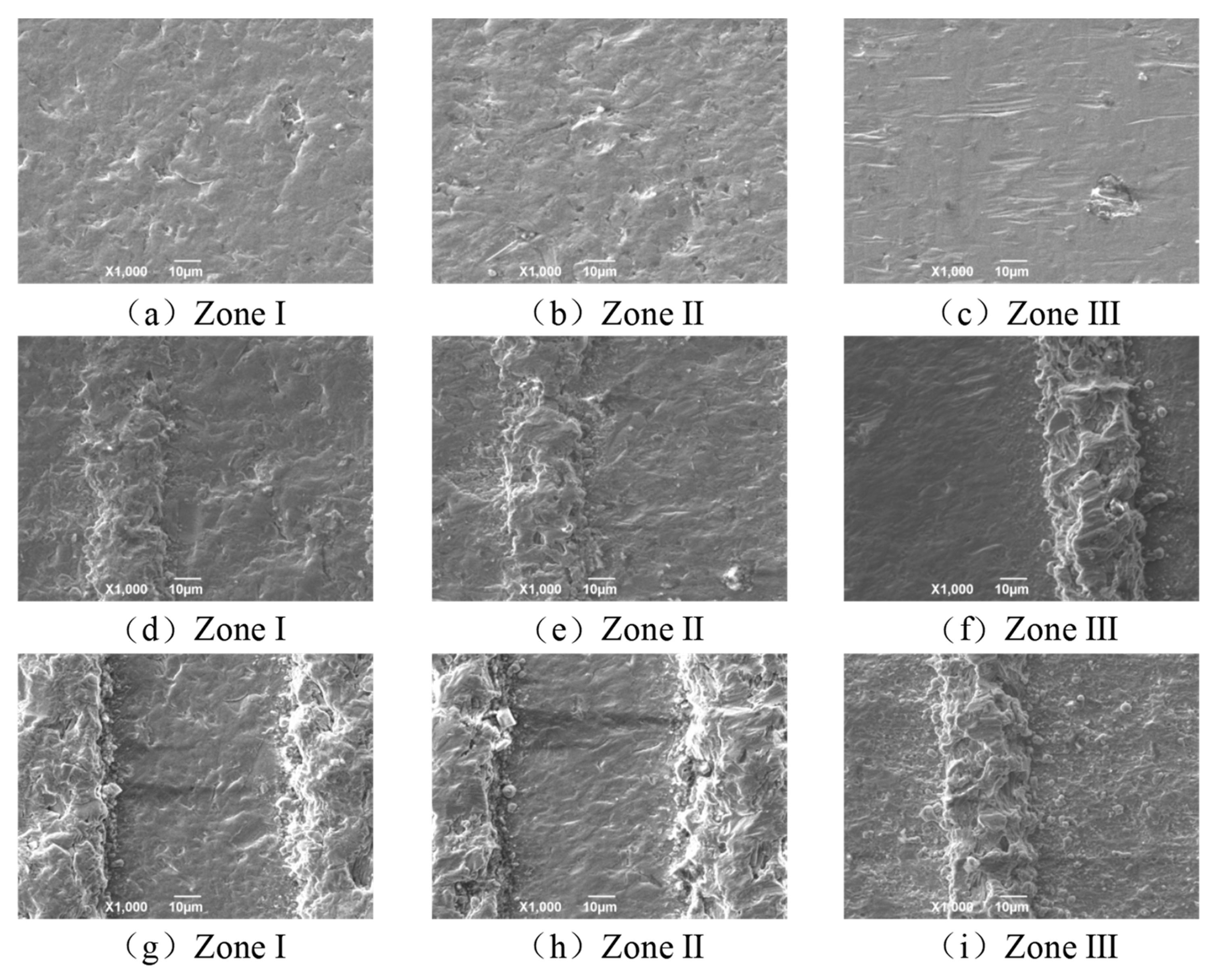 Coatings 11 01547 g009
