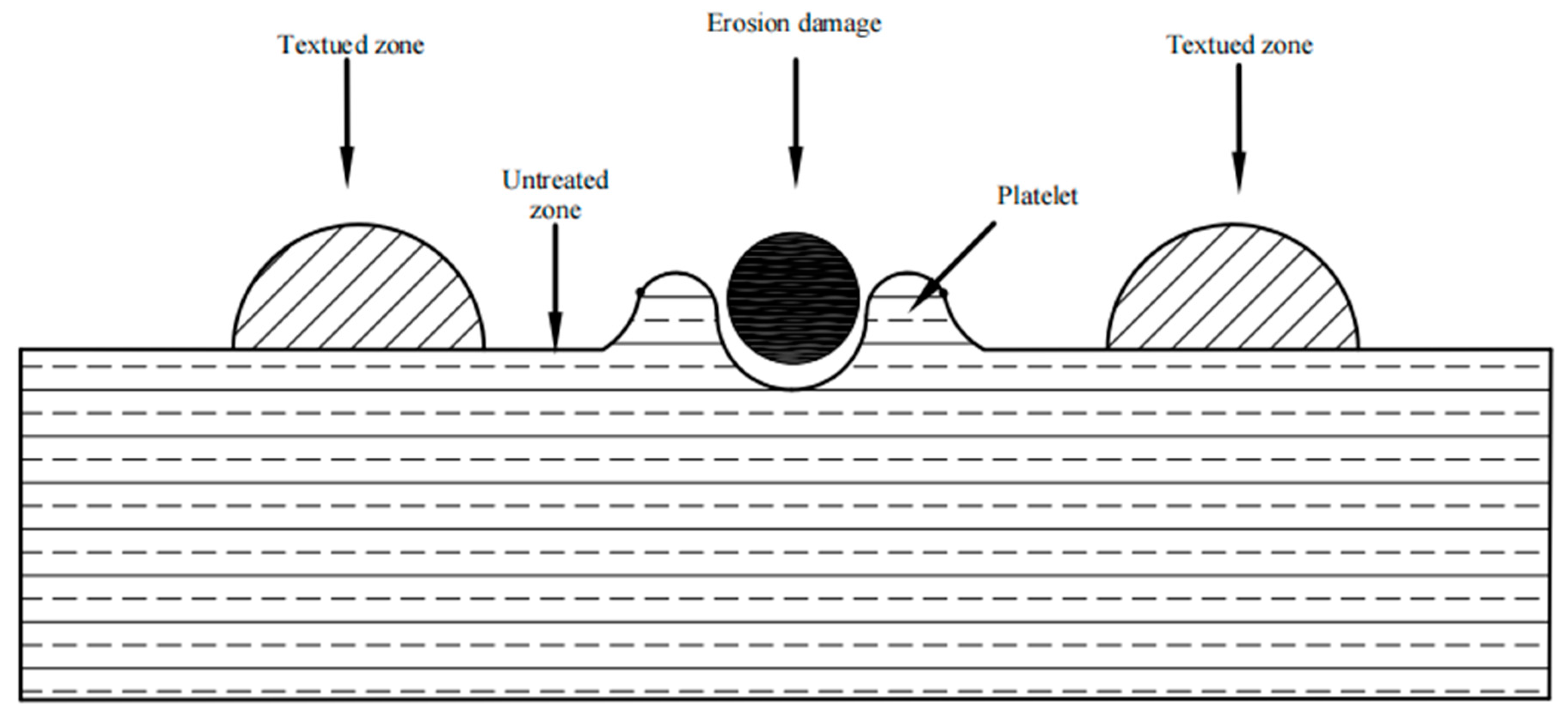 Coatings 11 01547 g011