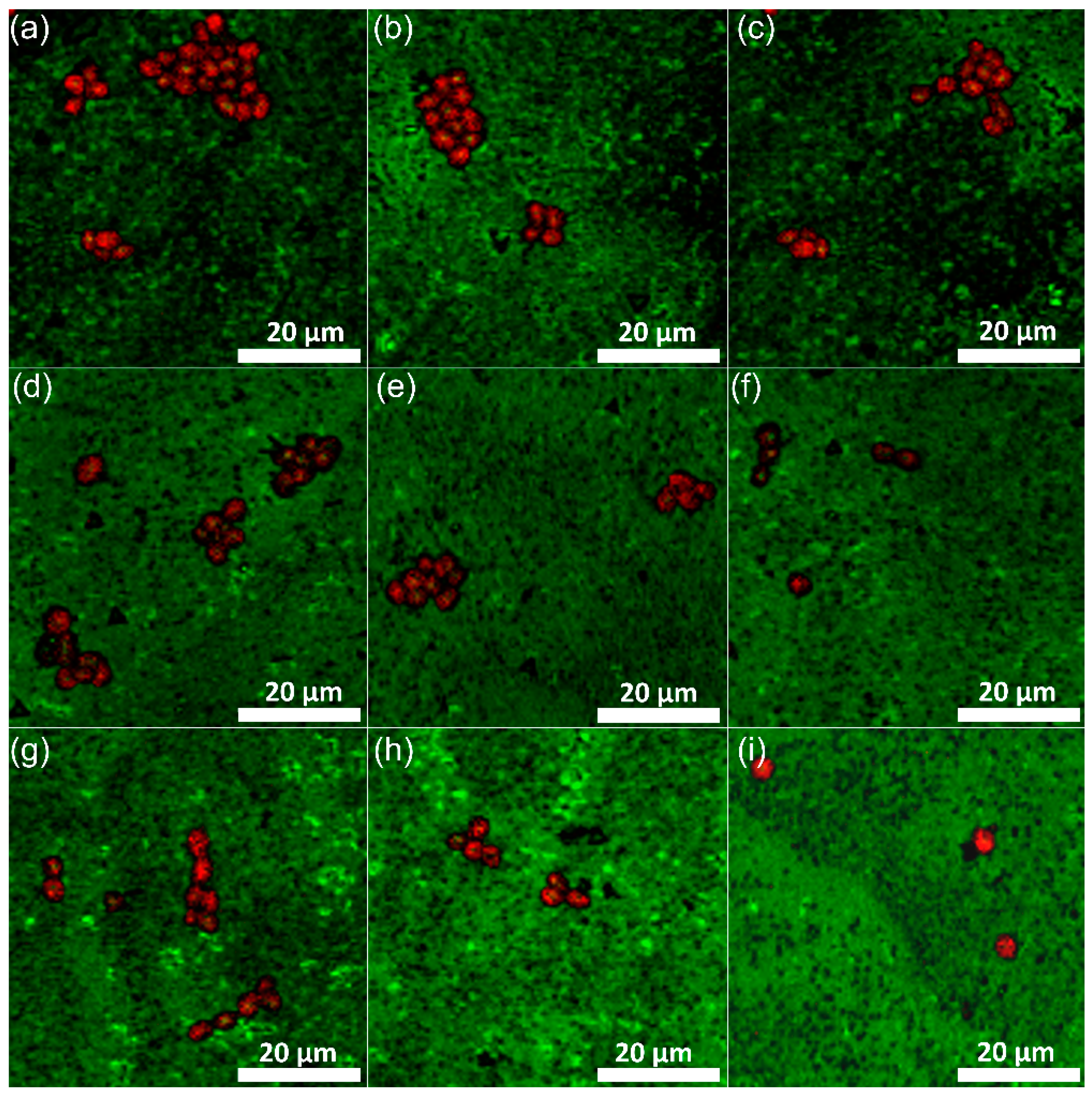 Coatings 11 01561 g010