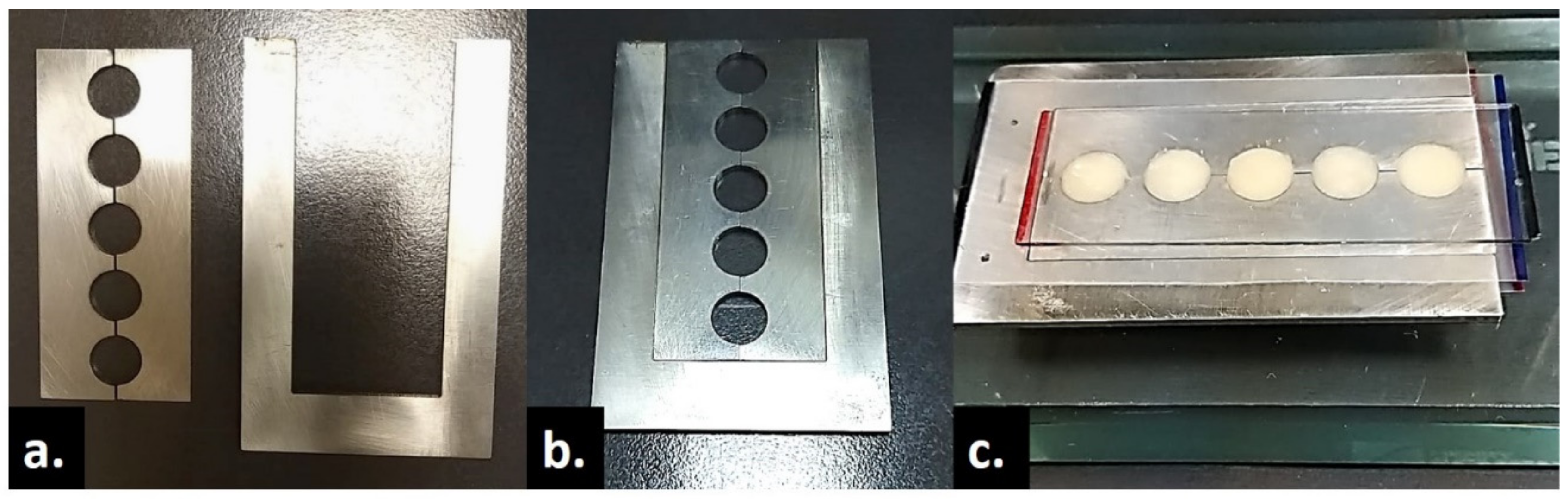 Coatings 11 01568 g001