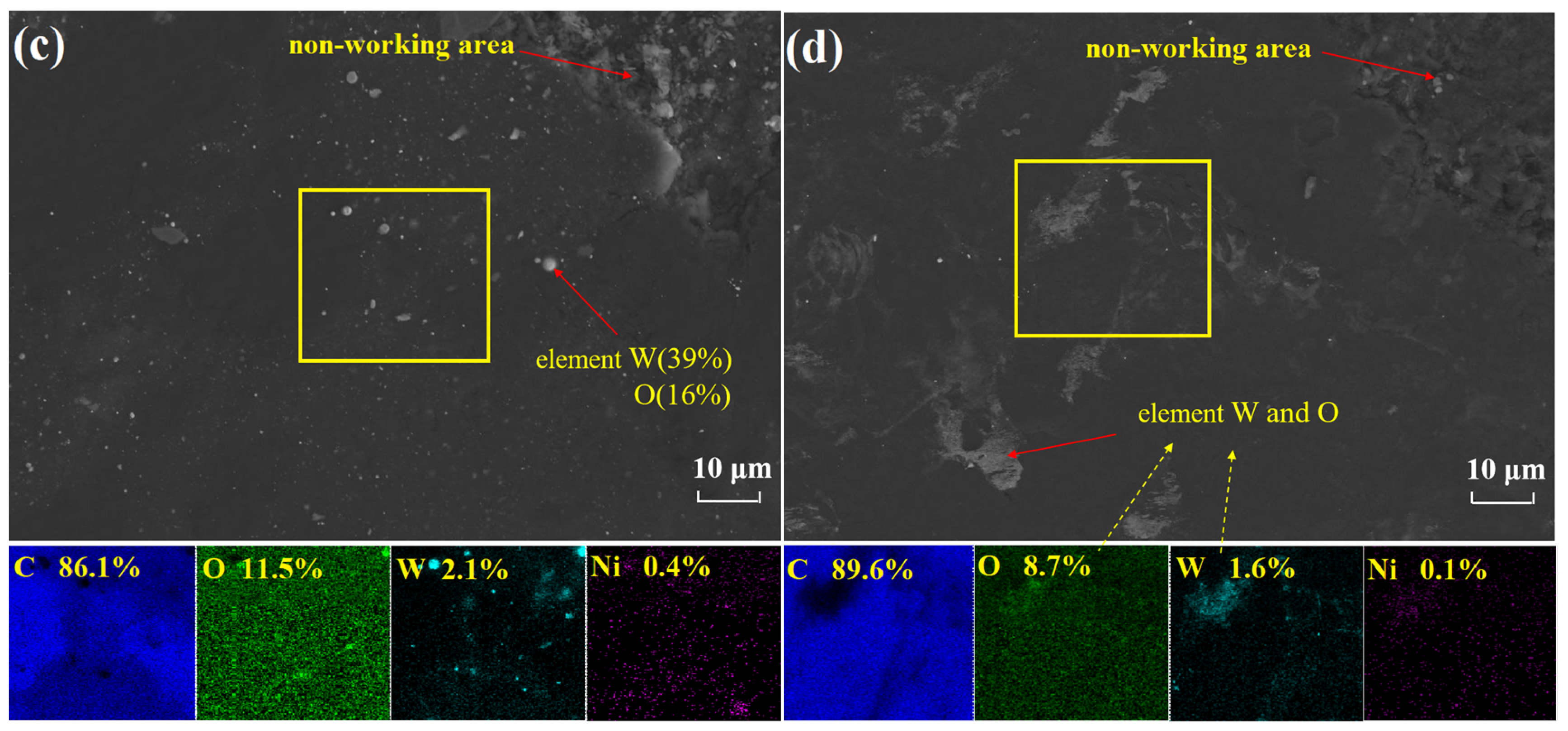 Coatings 12 00006 g005b