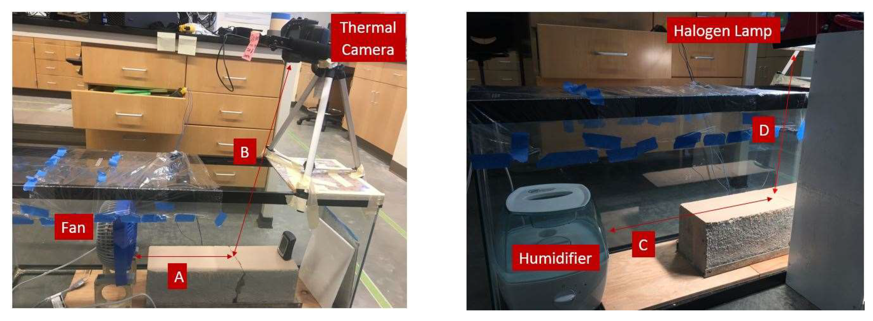 Coatings 12 00007 g011