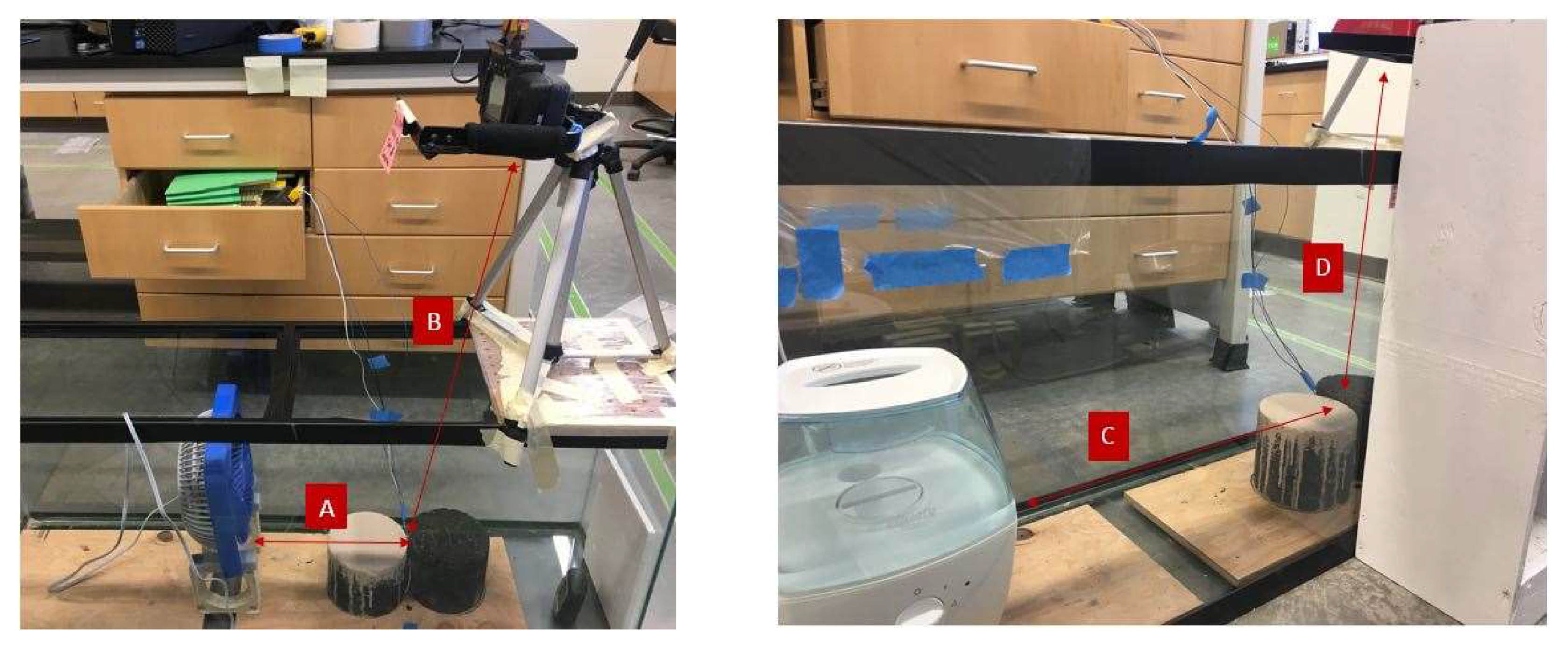 Coatings 12 00007 g012