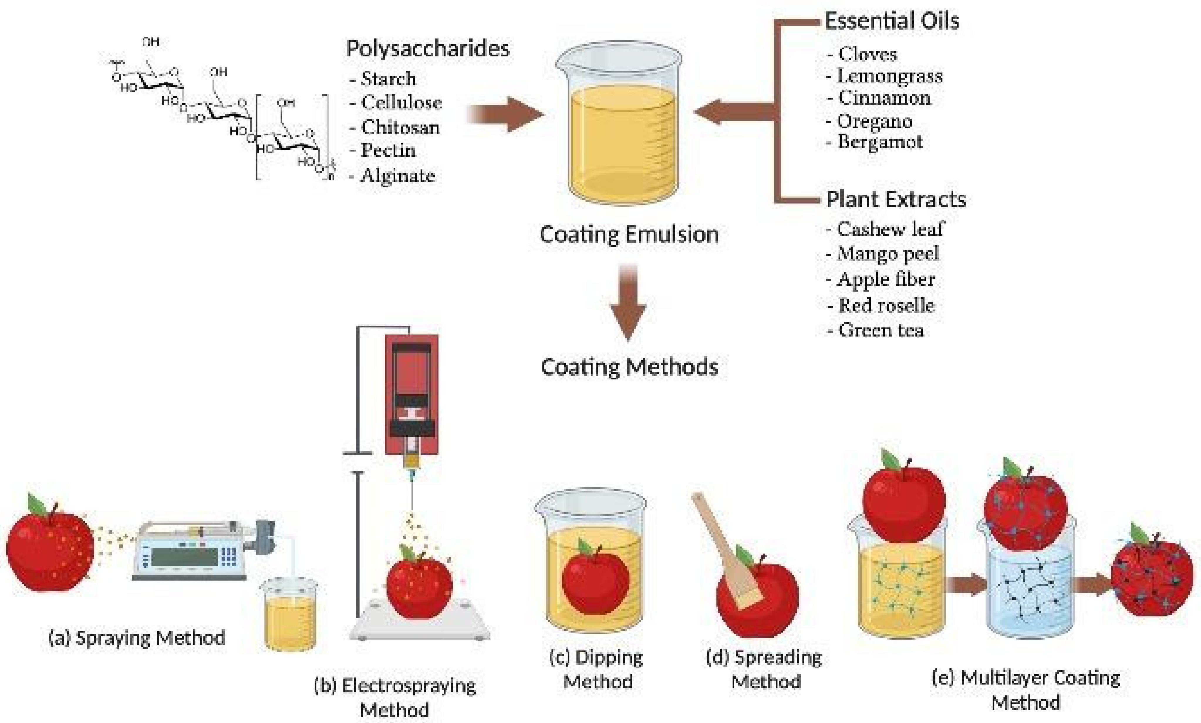 Coatings 12 00008 g001
