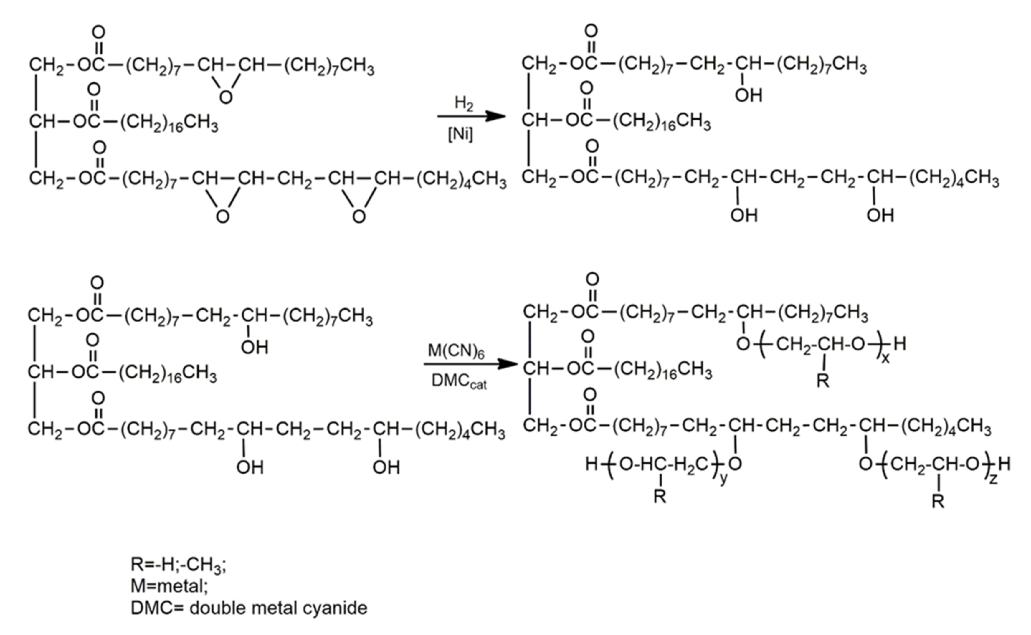 Coatings 12 00013 g006