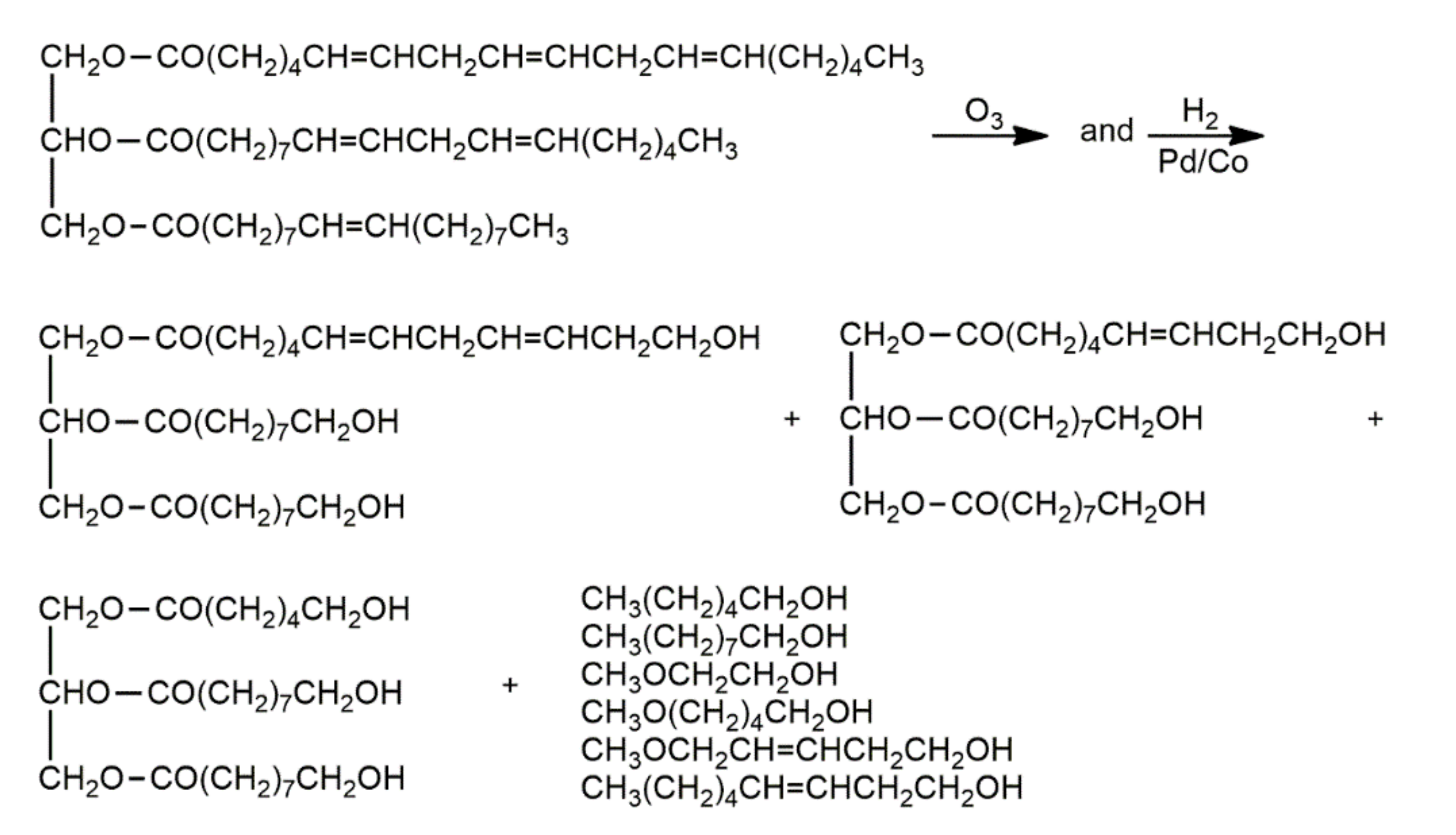 Coatings 12 00013 g008