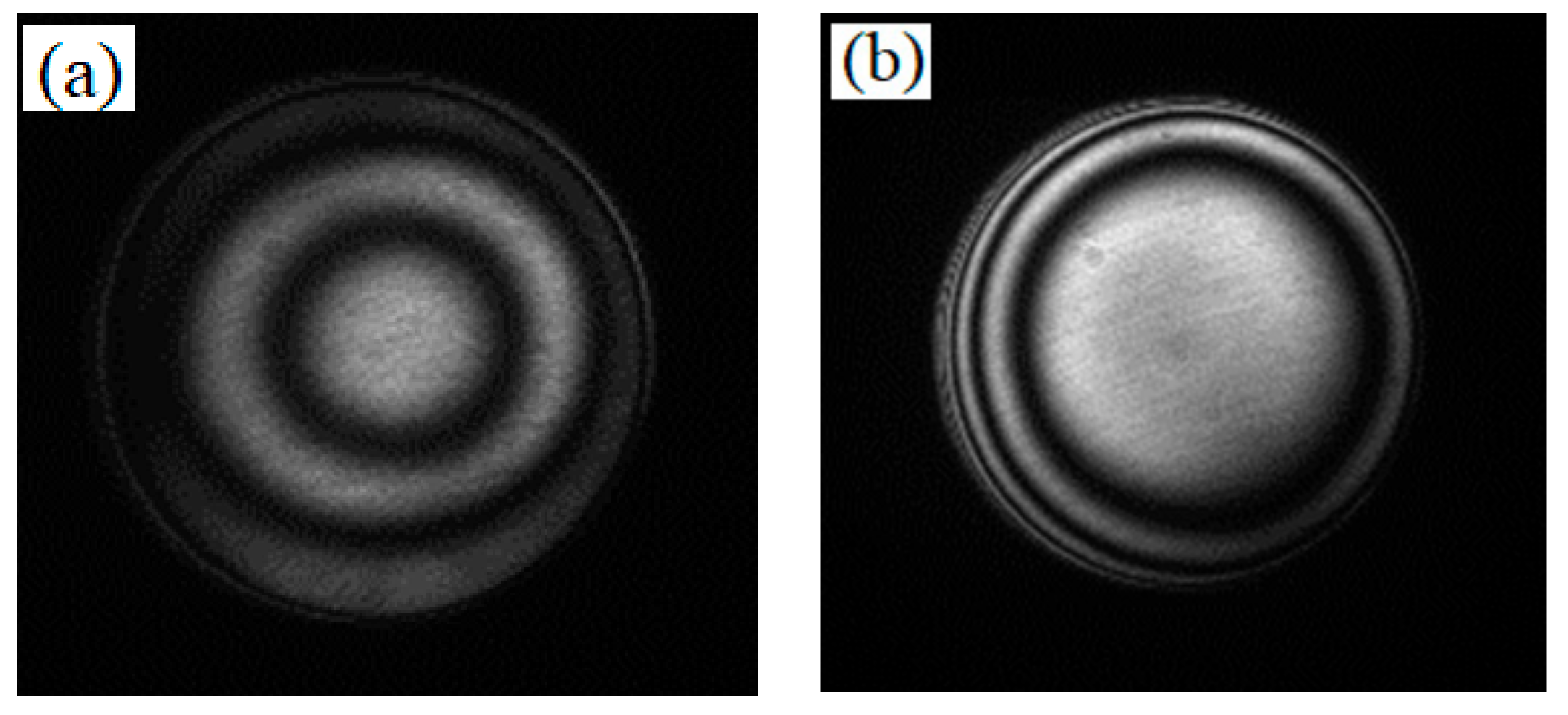 Coatings 12 00019 g005