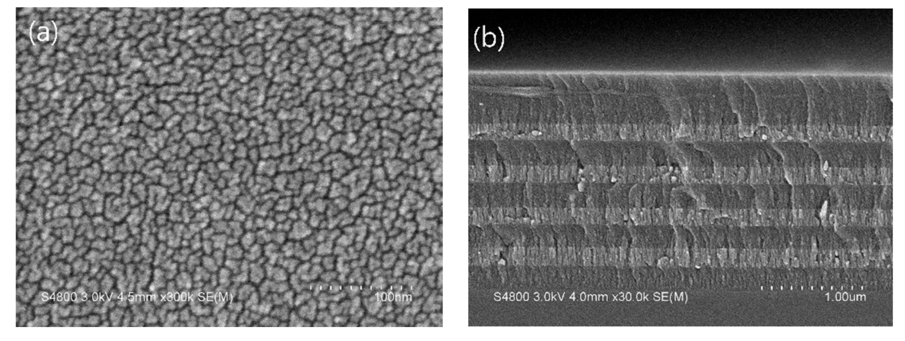 Coatings 12 00019 g008