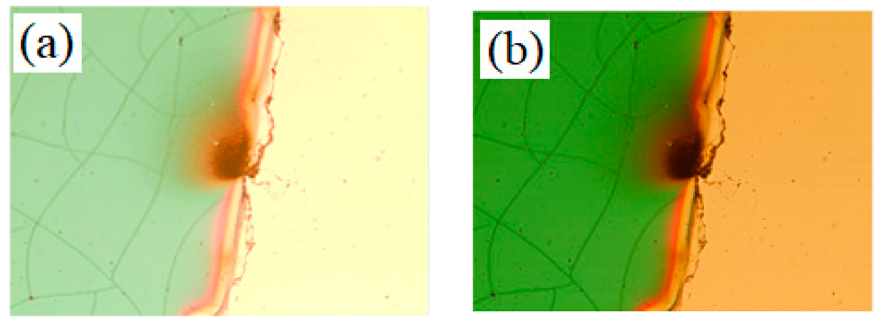 Coatings 12 00019 g009