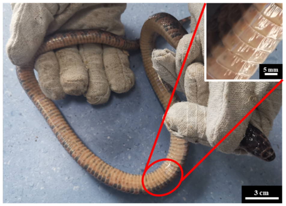 Coatings 12 00020 g001 Coatings 12 00020 g001