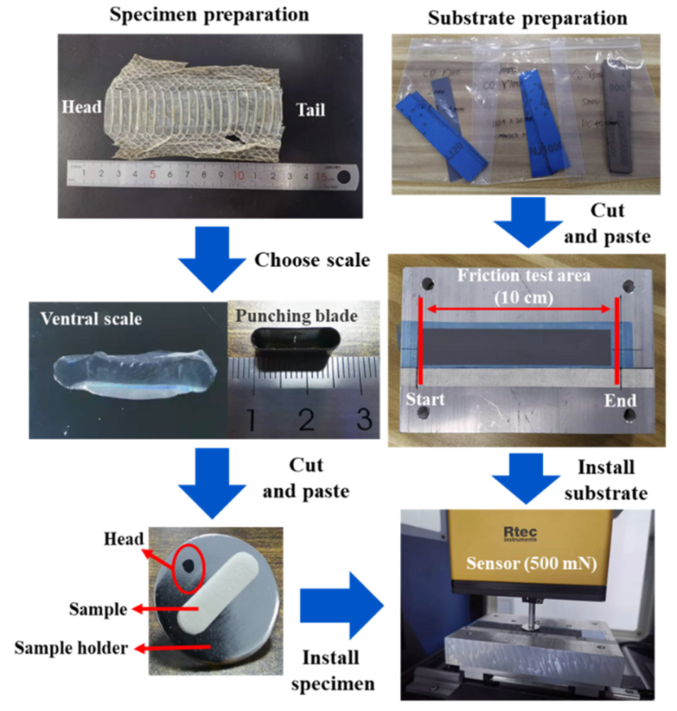 Coatings 12 00020 g002 Coatings 12 00020 g002