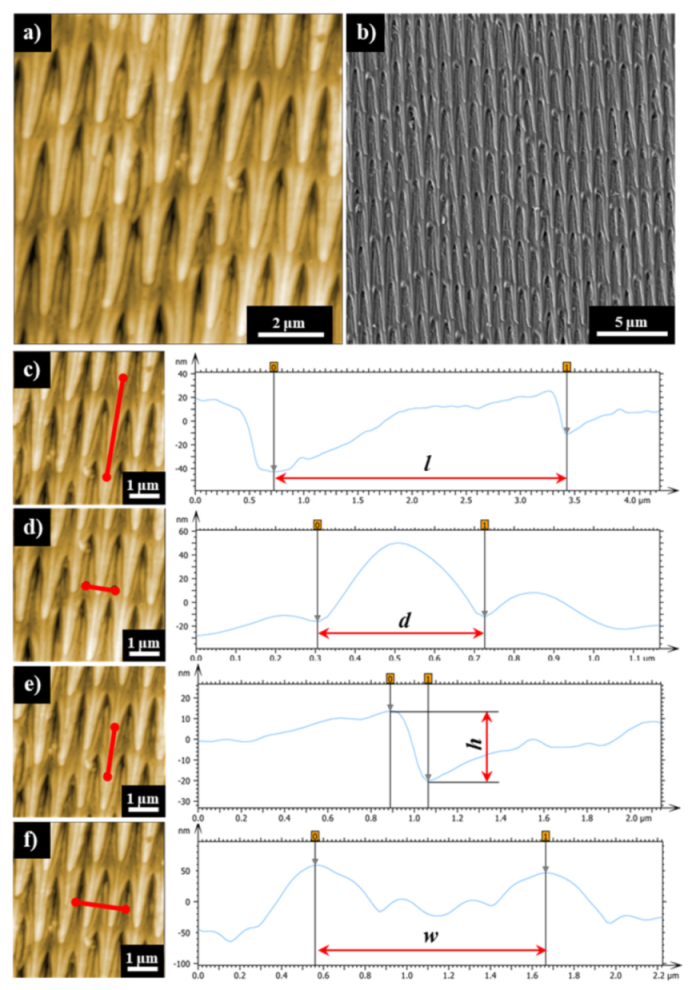 Coatings 12 00020 g003 Coatings 12 00020 g003