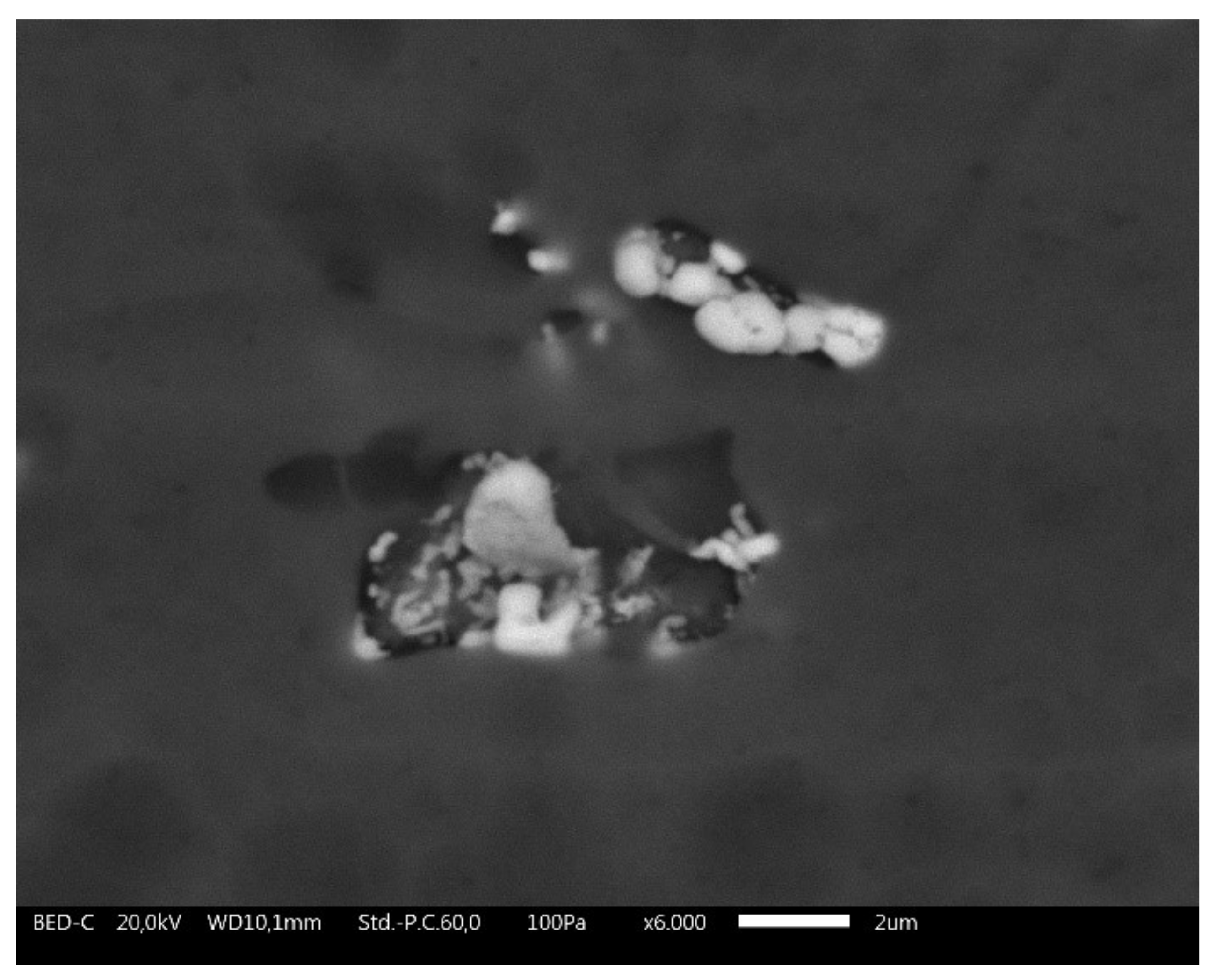 Coatings 12 00028 g002 Coatings 12 00028 g002