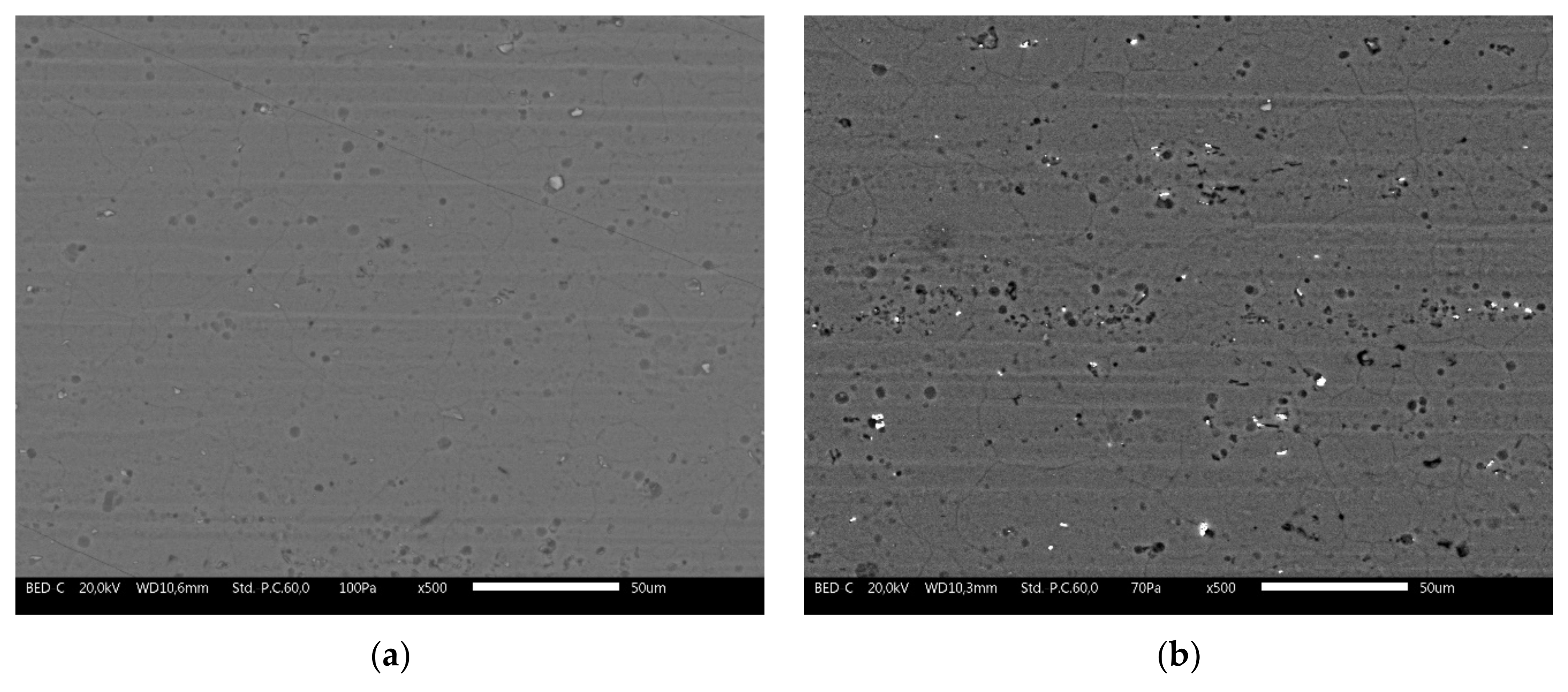 Coatings 12 00028 g003a Coatings 12 00028 g003a