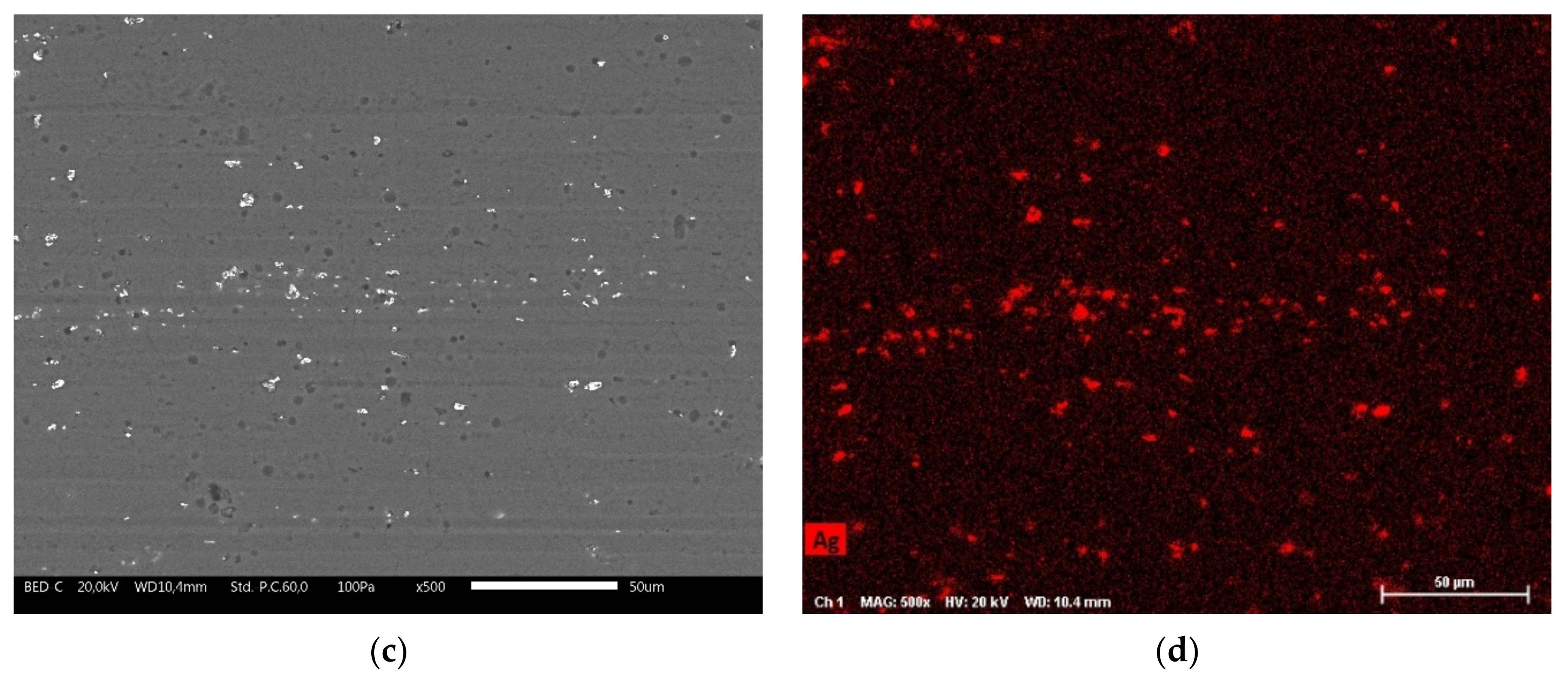 Coatings 12 00028 g003b Coatings 12 00028 g003b