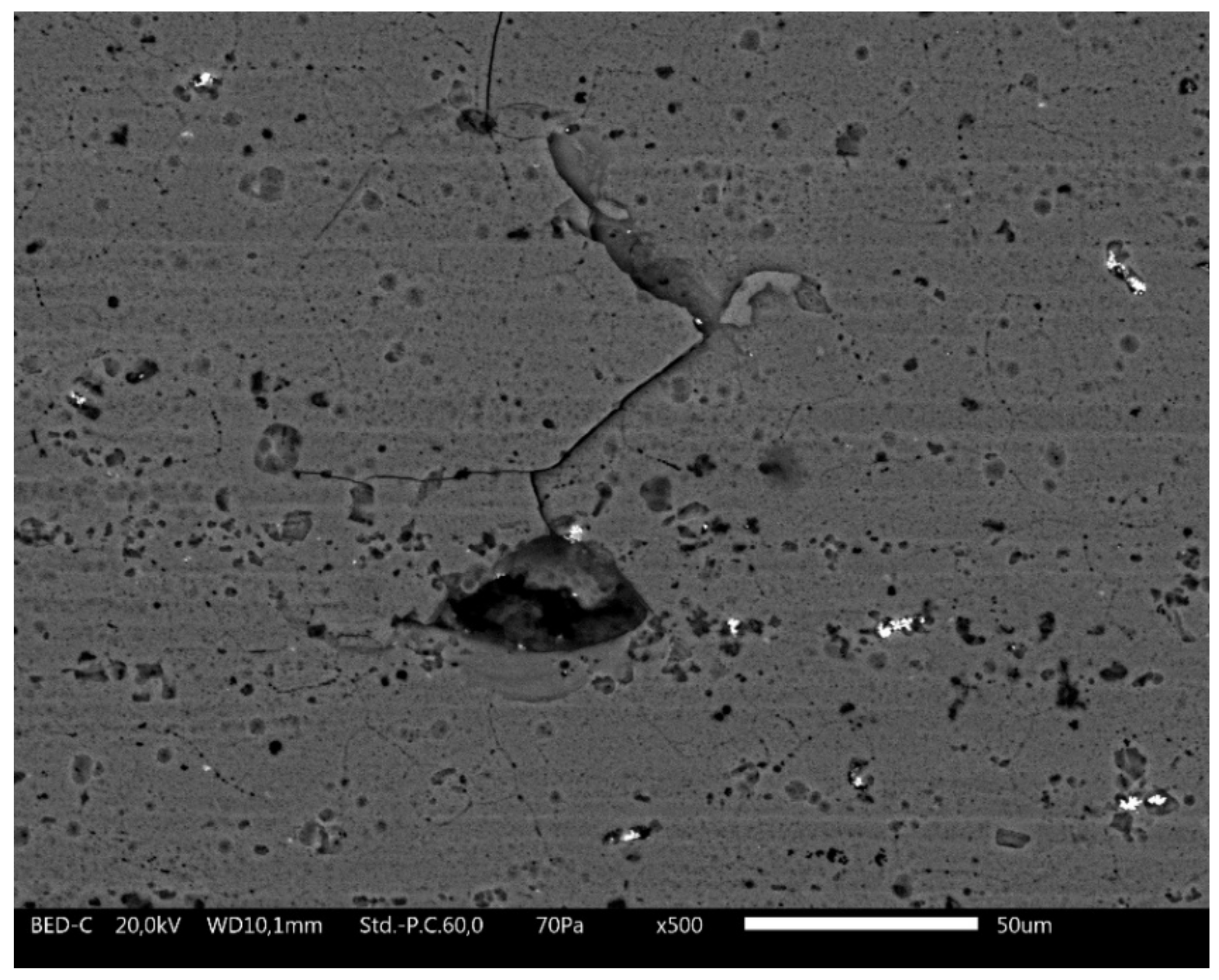 Coatings 12 00028 g007 Coatings 12 00028 g007