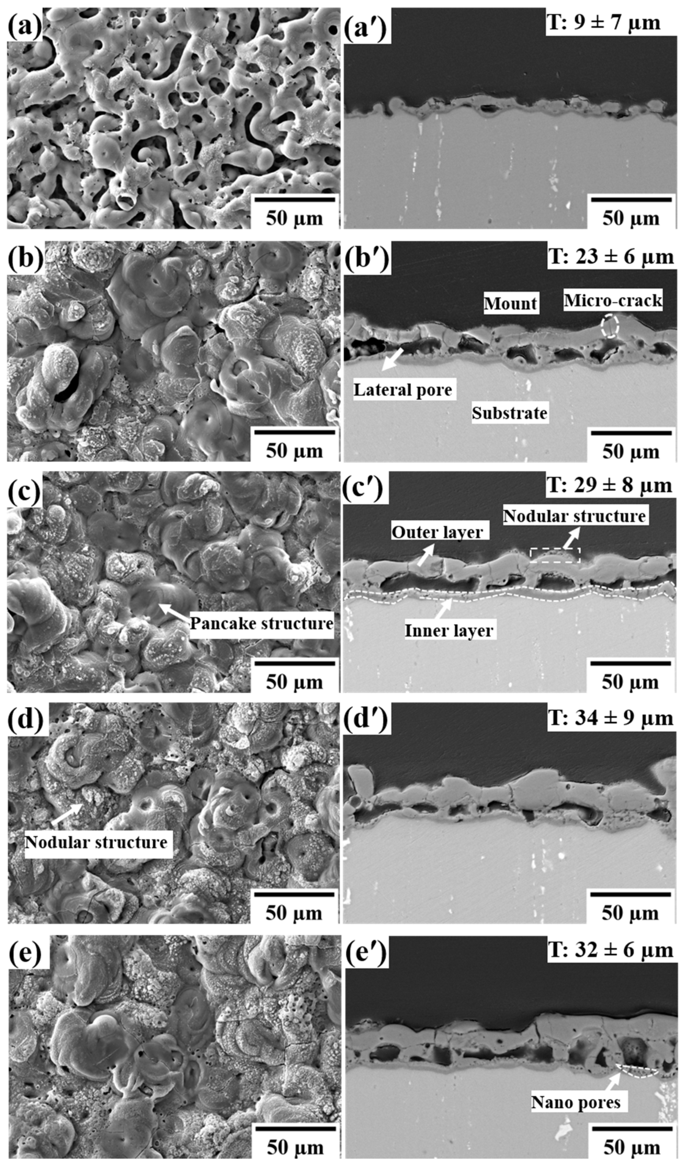 Coatings 12 00033 g002