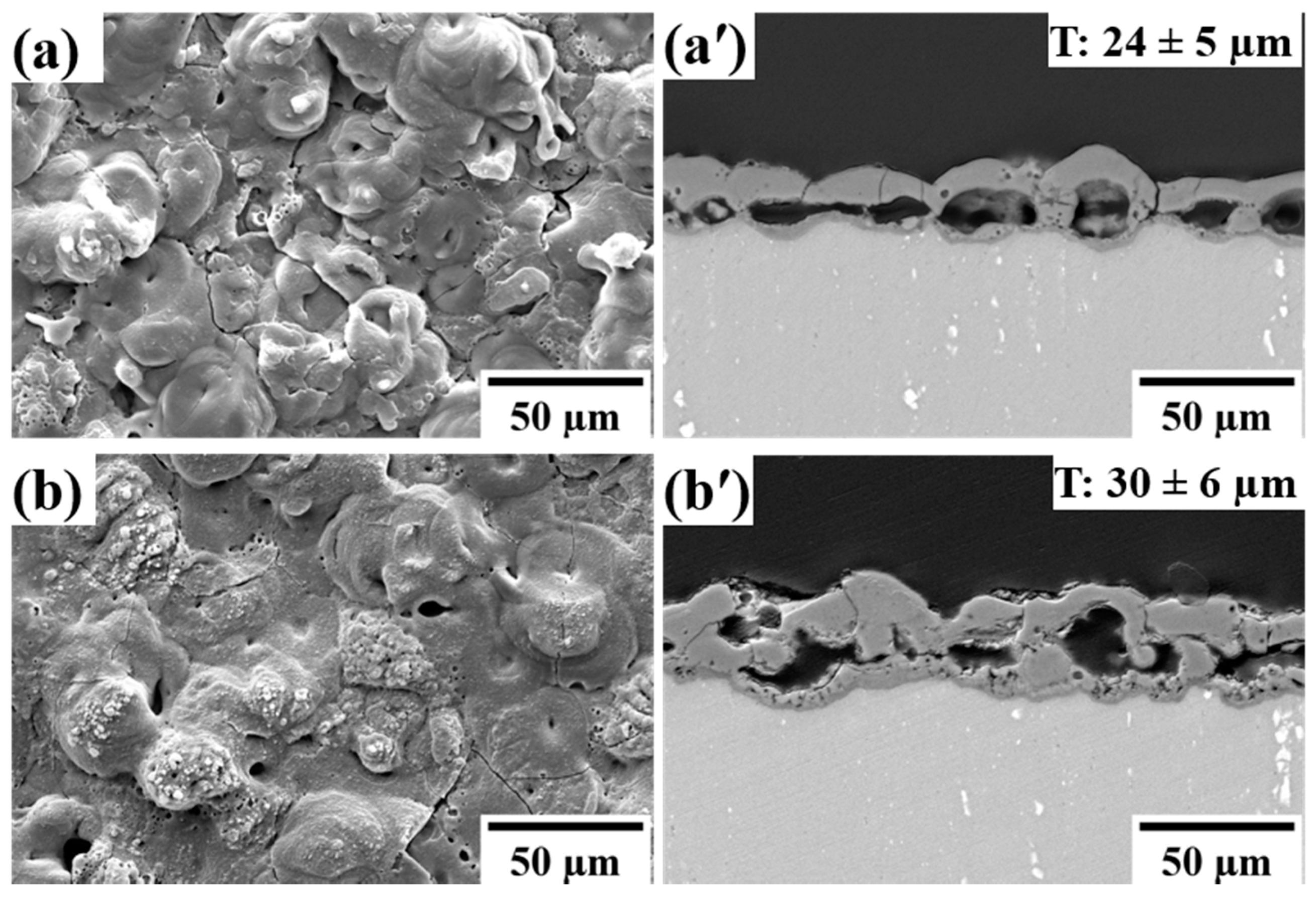 Coatings 12 00033 g003