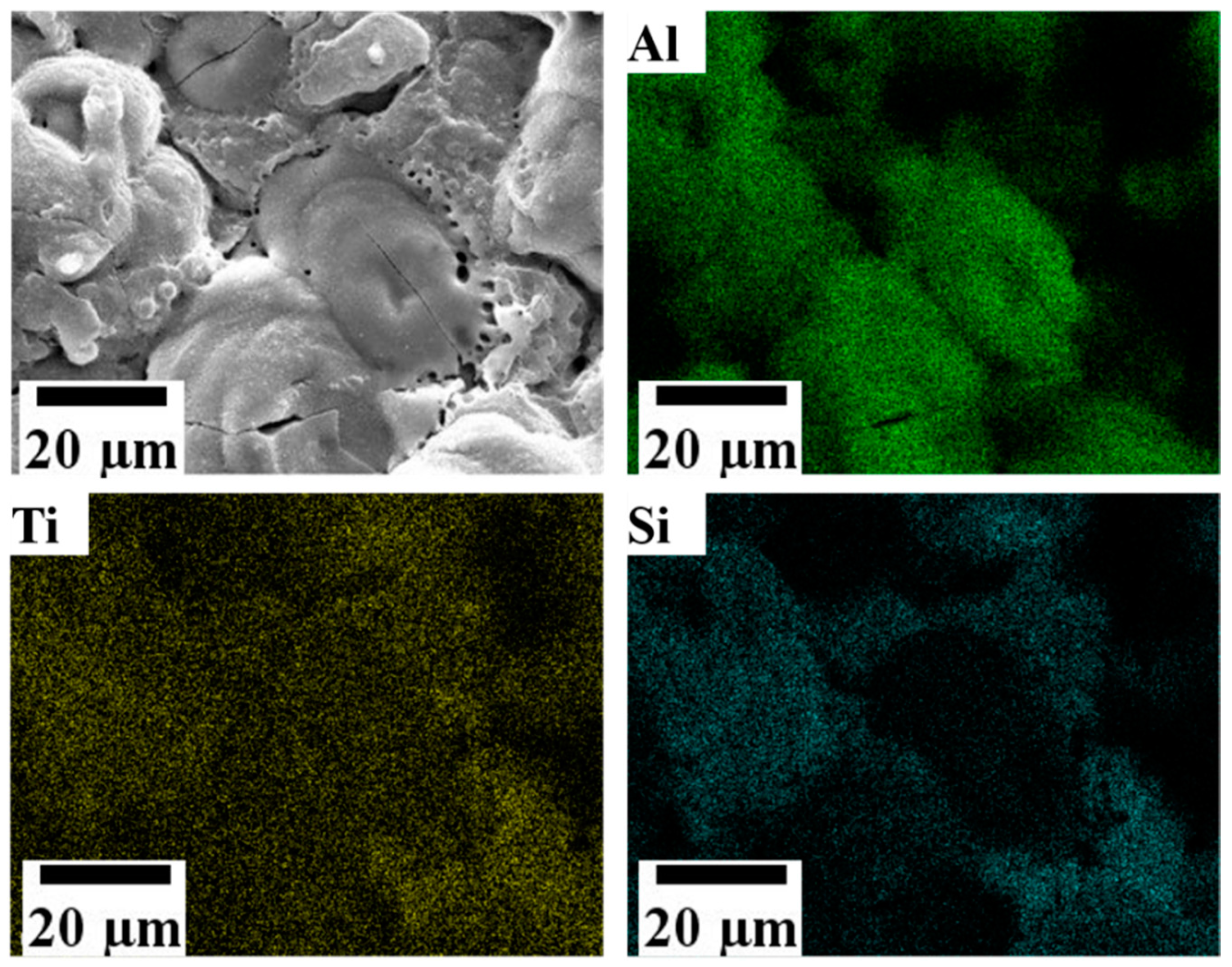 Coatings 12 00033 g004