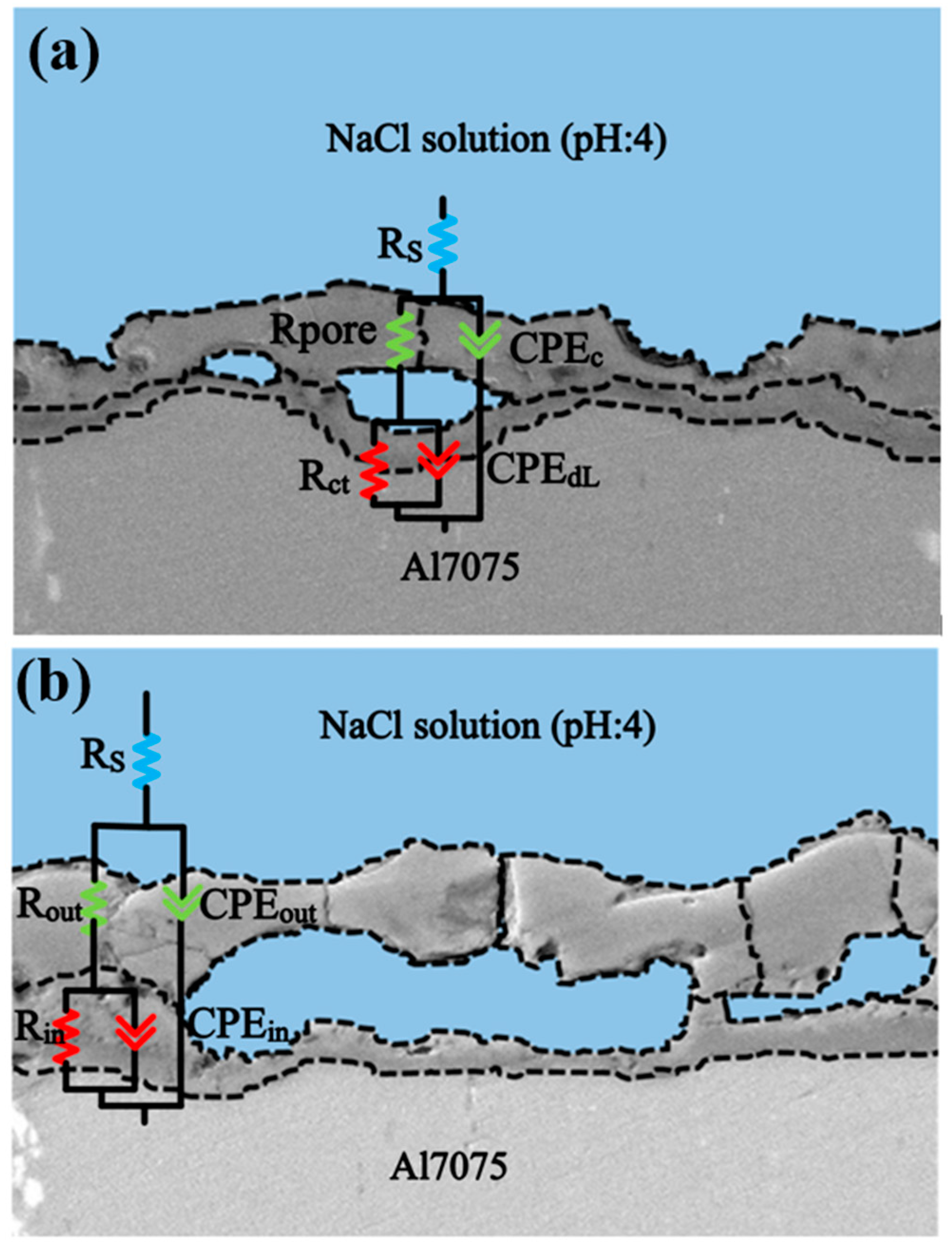 Coatings 12 00033 g008