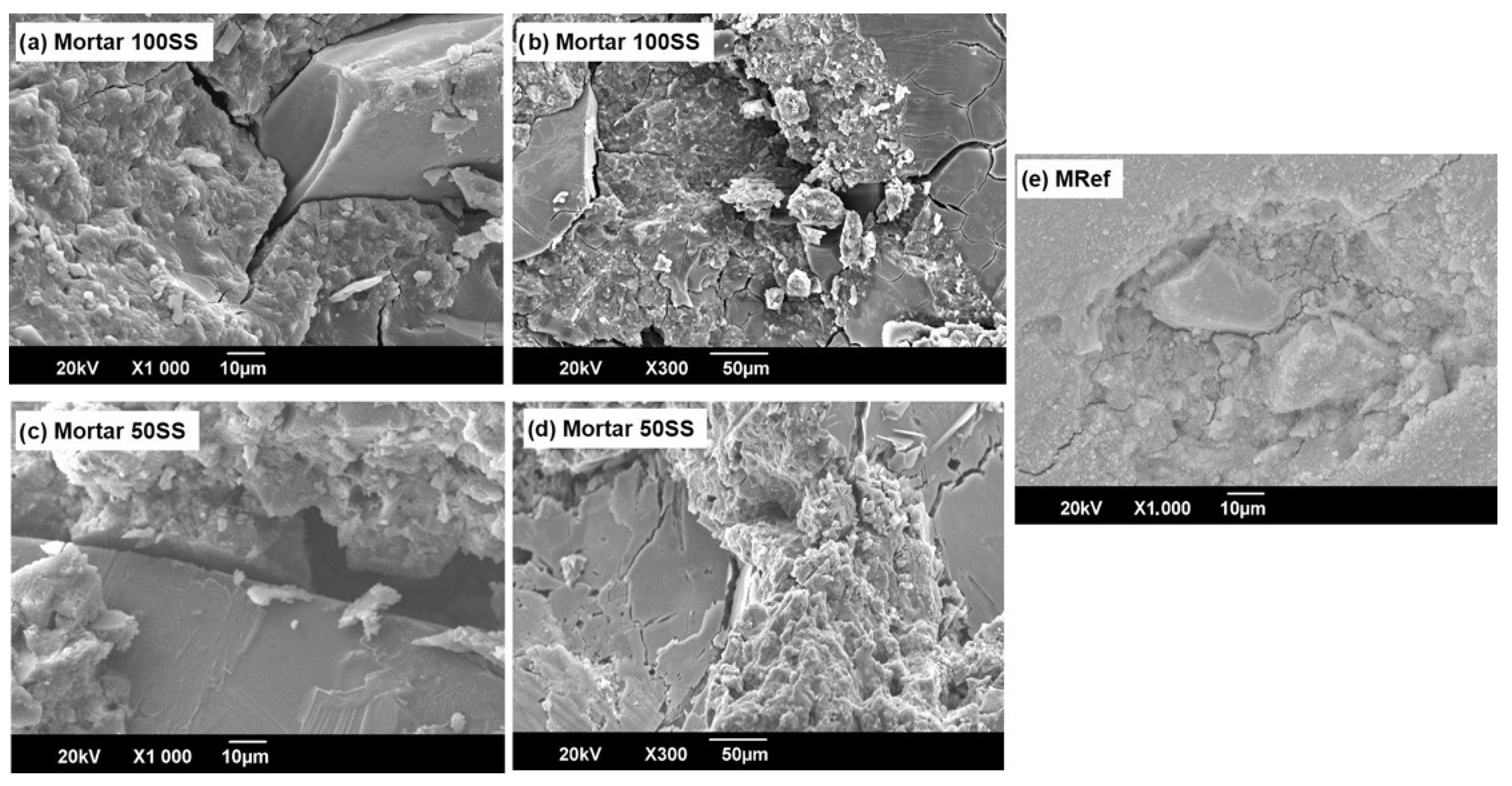 Coatings 12 00035 g006